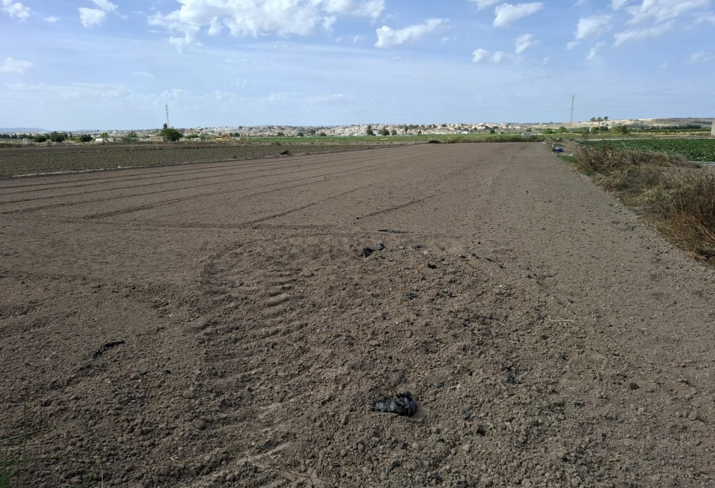 Prodej - Pozemek - Guardamar del Segura - Guardamar pueblo