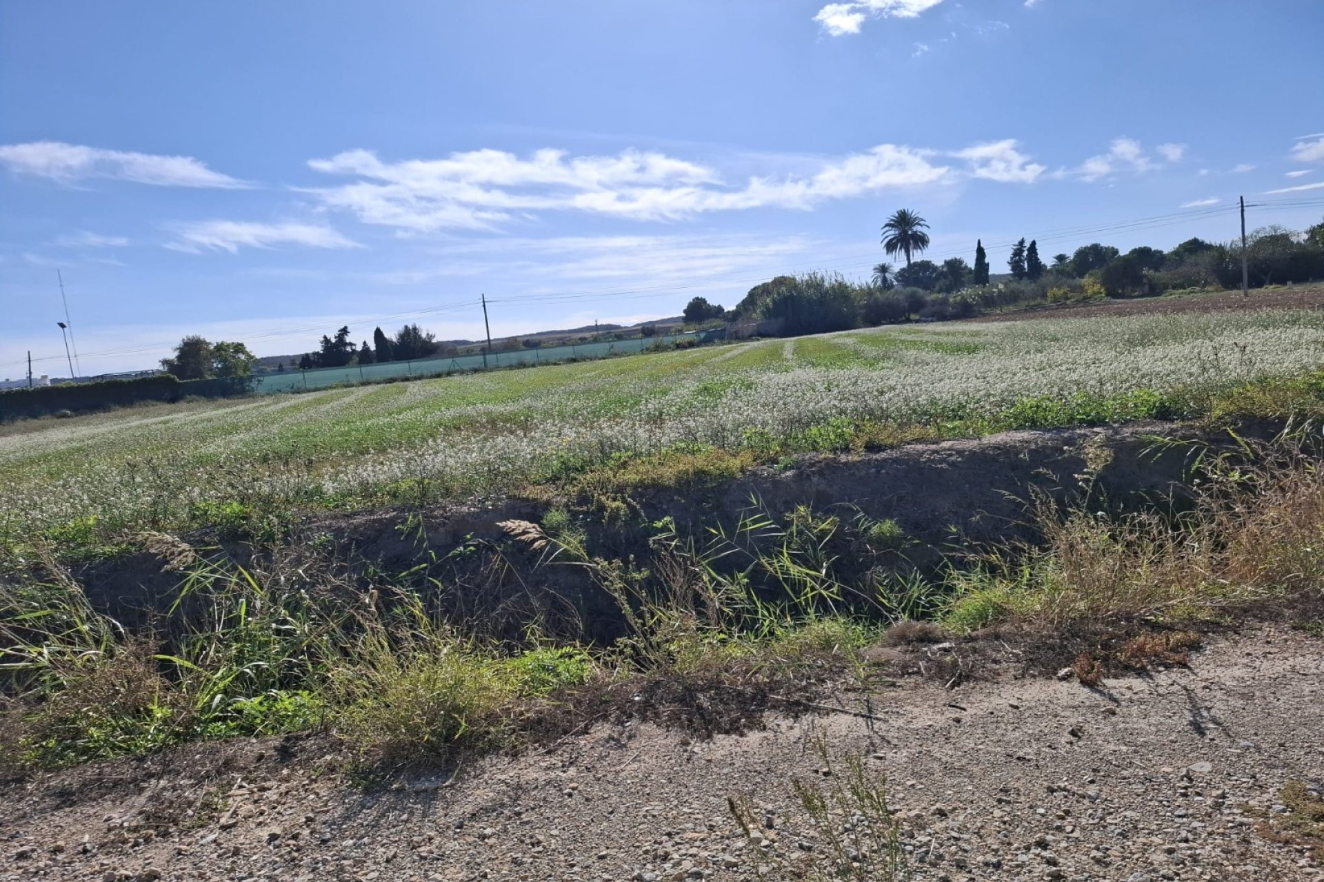Prodej - Pozemek - Guardamar del Segura - Guardamar pueblo