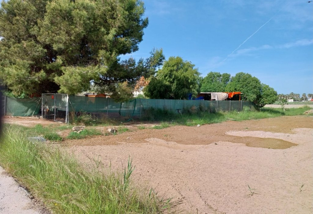 Prodej - Pozemek - Guardamar del Segura