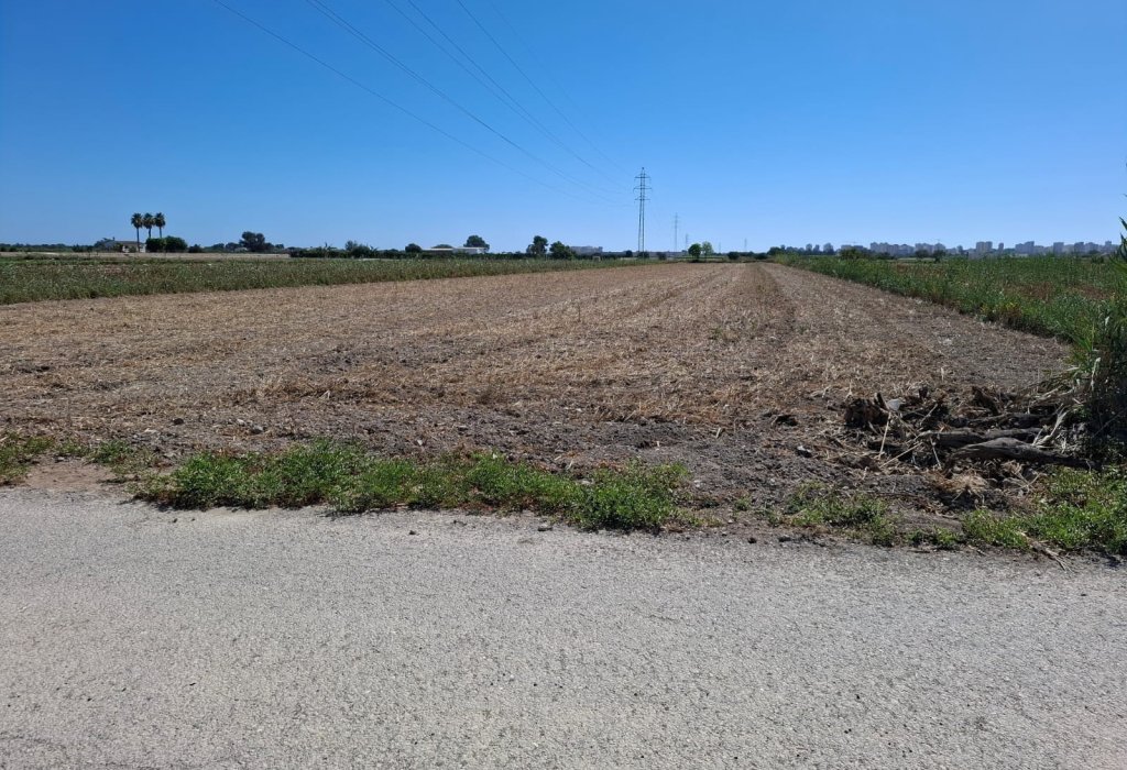 Prodej - Pozemek - Guardamar del Segura