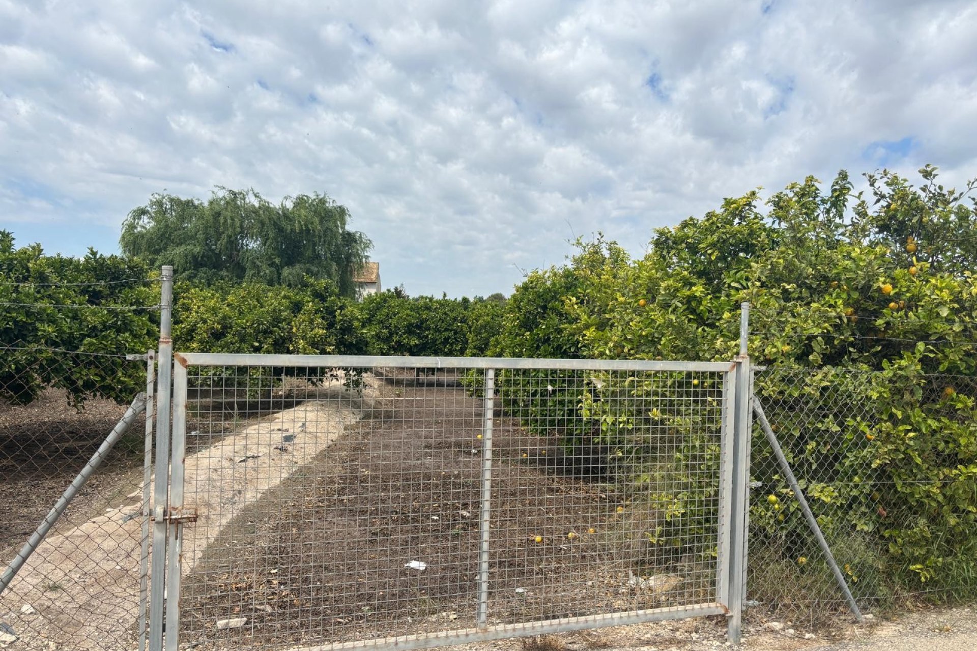 Prodej -  - Rojales - Ciudad Quesada