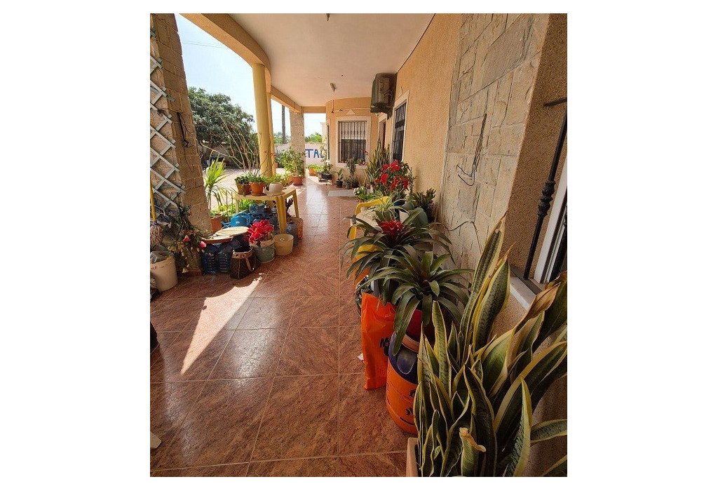 Prodej - Villa - Elche - La Marina