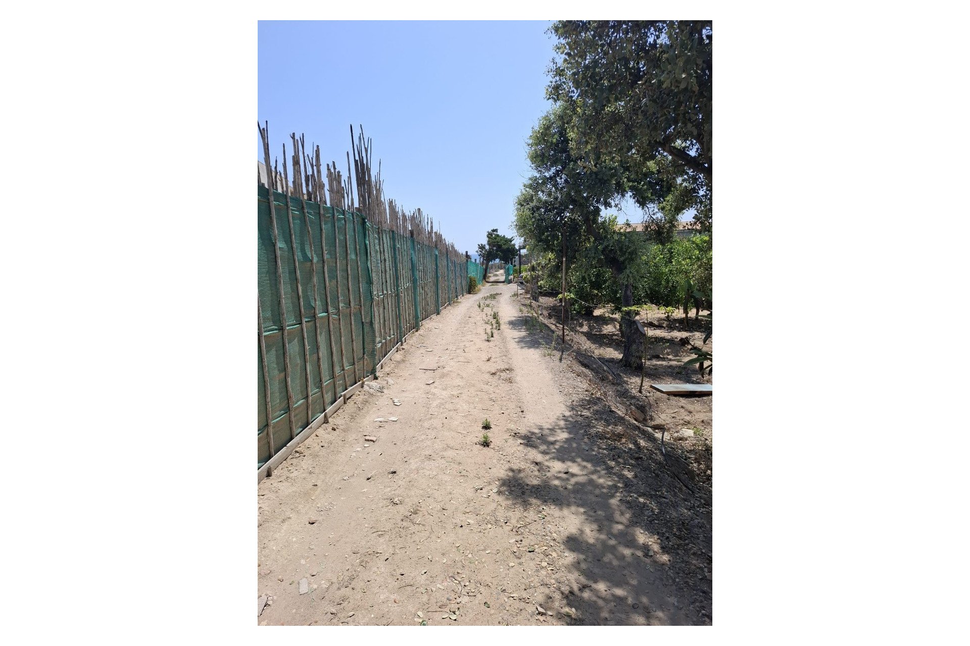 Prodej - Villa - Guardamar del Segura - Guardamar Playa