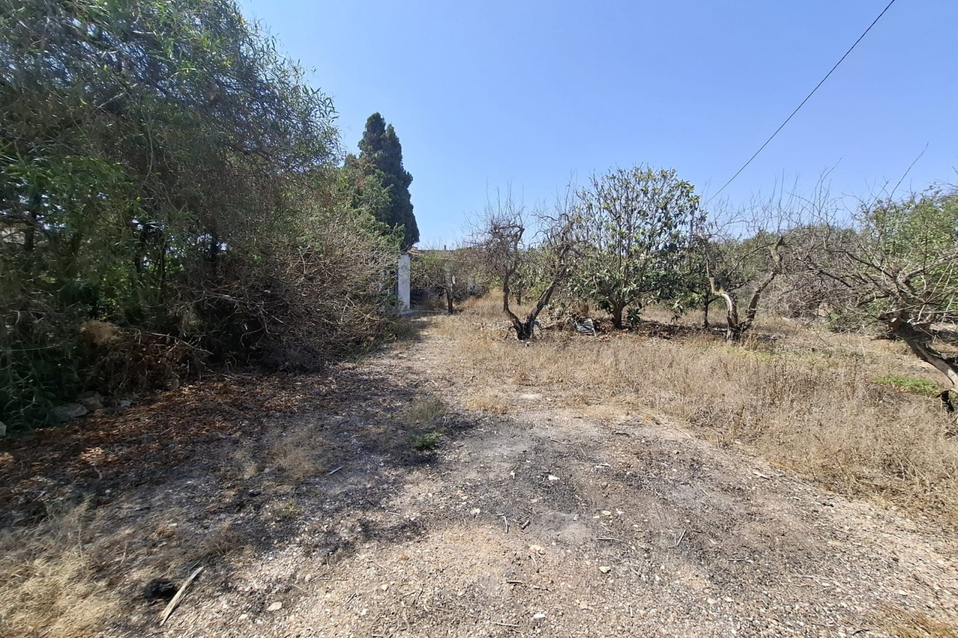 Prodej - Villa - Guardamar del Segura - Guardamar Playa
