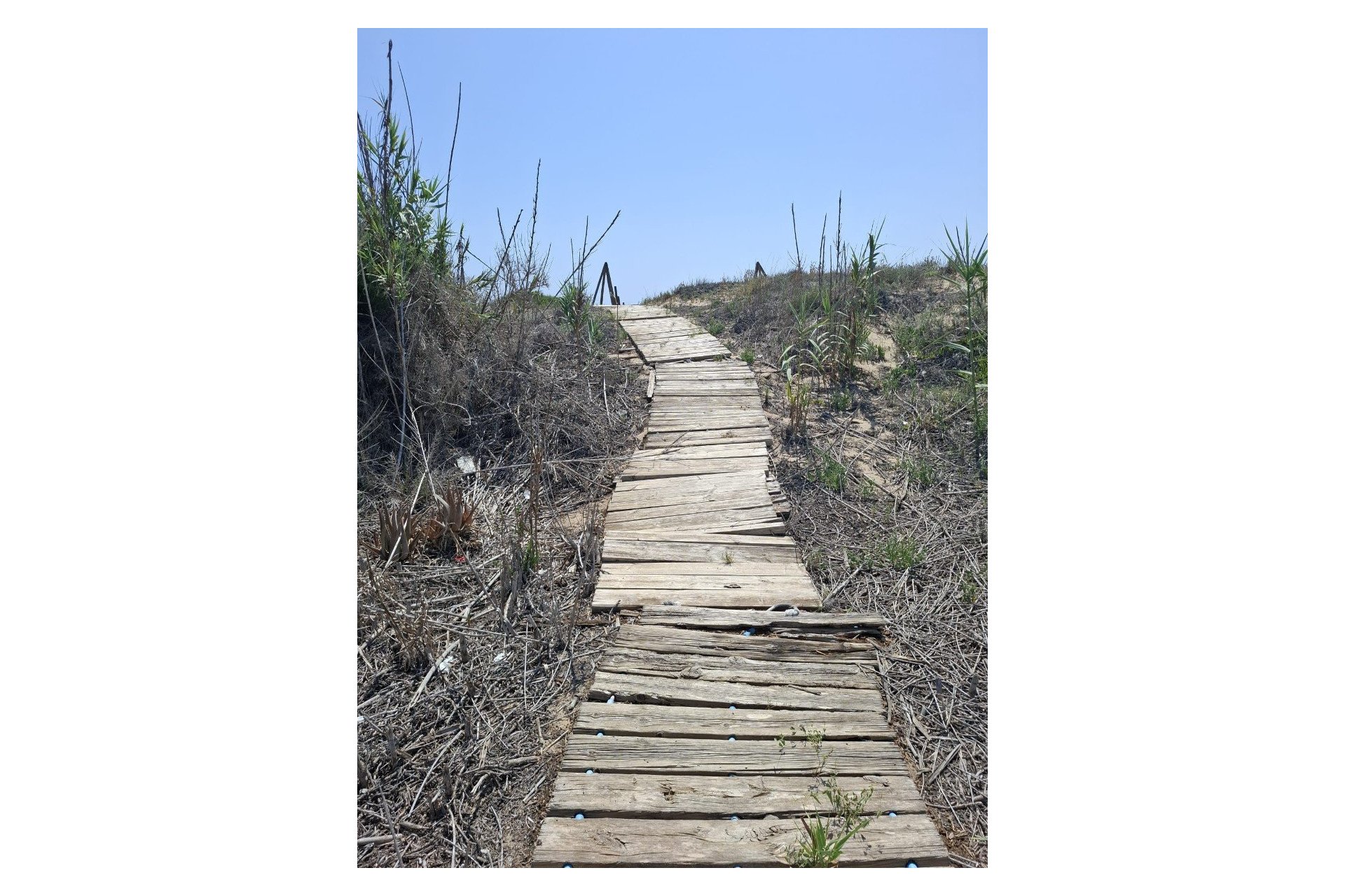 Prodej - Villa - Guardamar del Segura