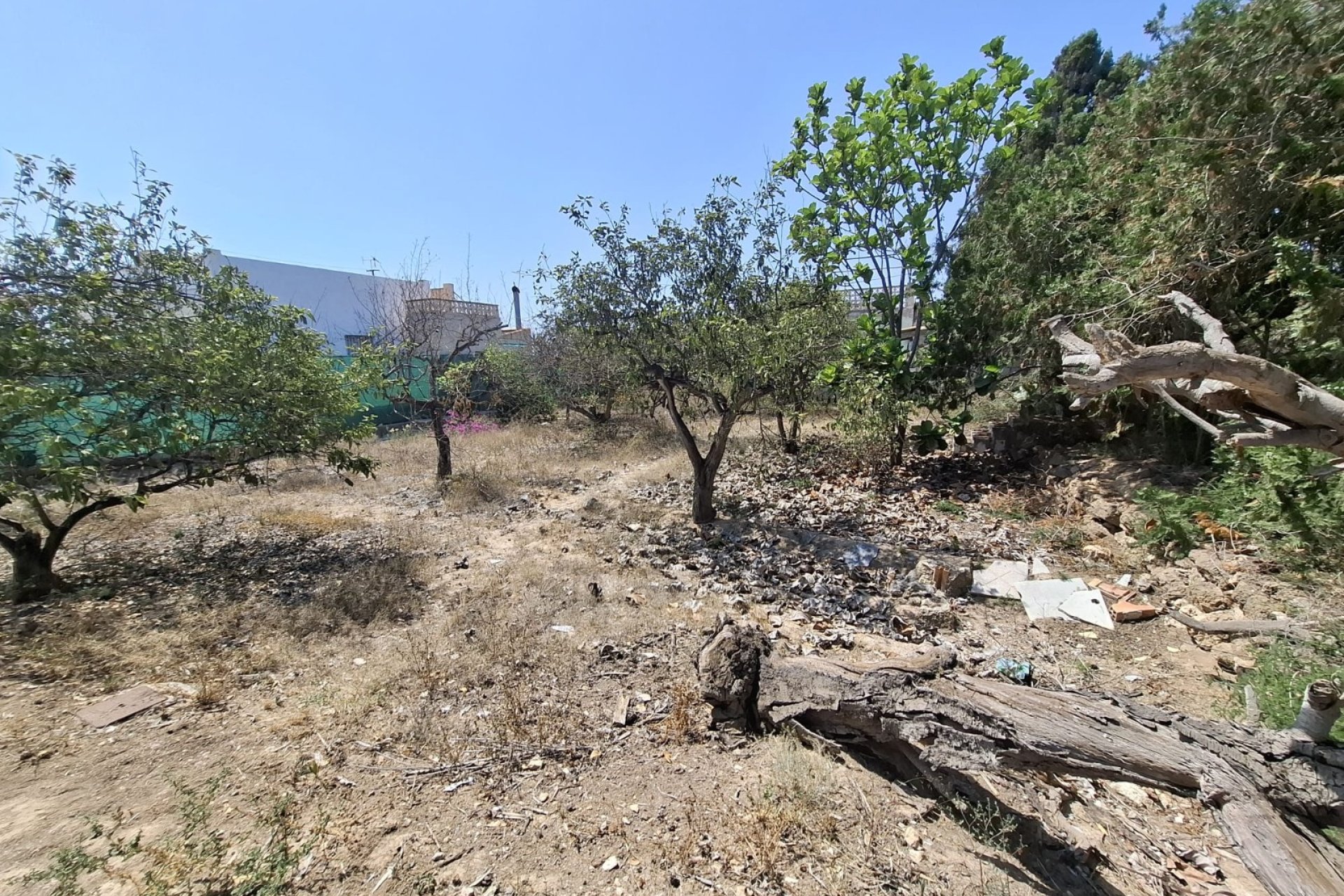 Prodej - Villa - Guardamar del Segura