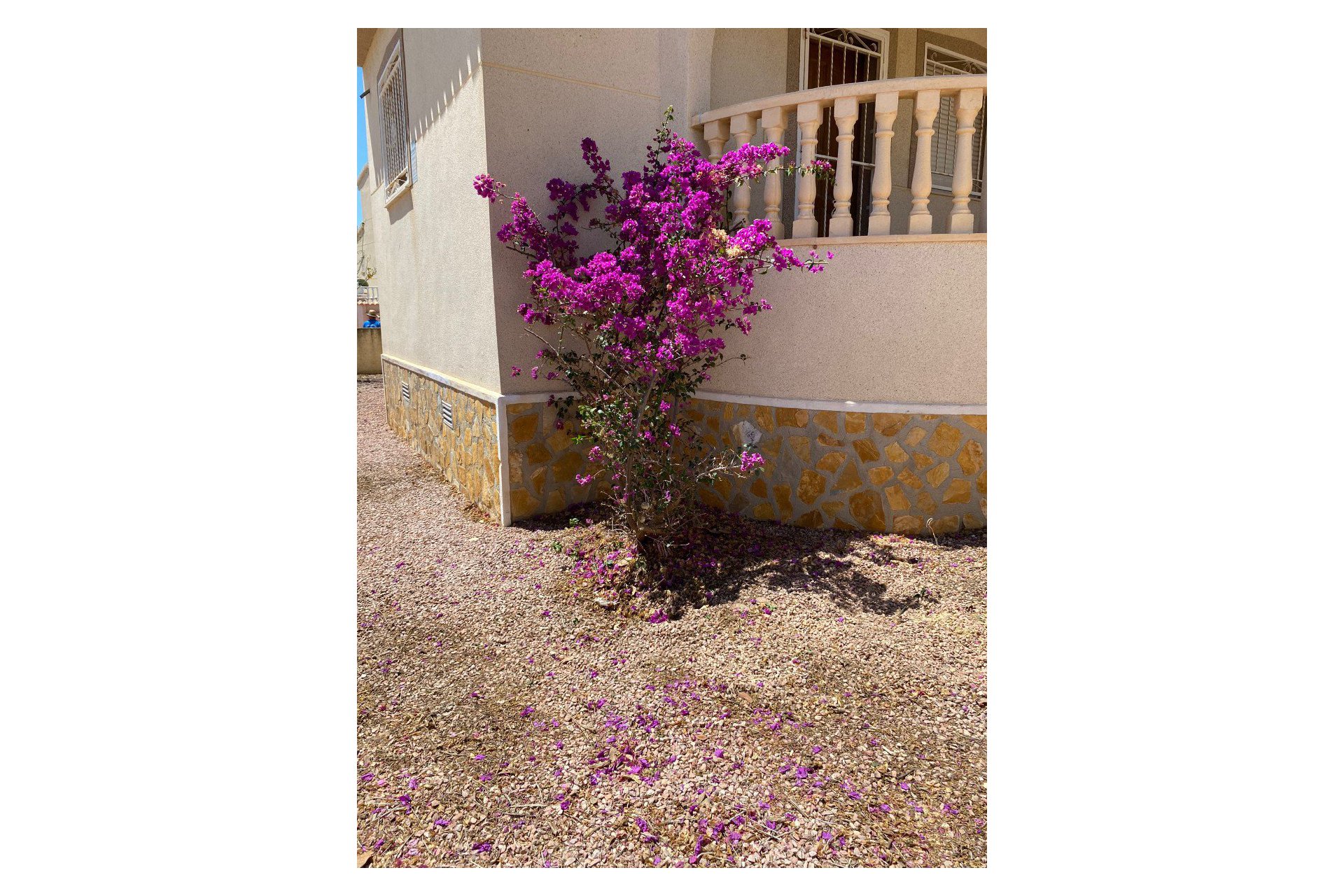 Prodej - Villa - Rojales - Ciudad Quesada