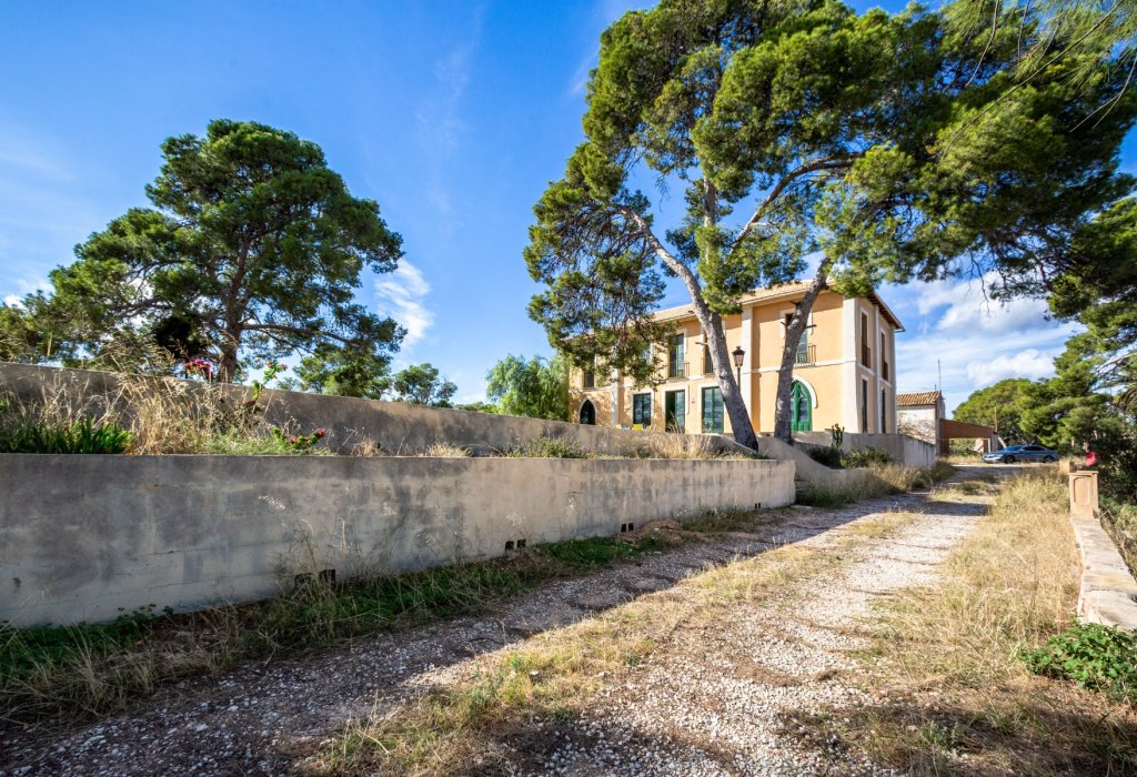Prodej - Villa - San Juan - San Juan de Alicante