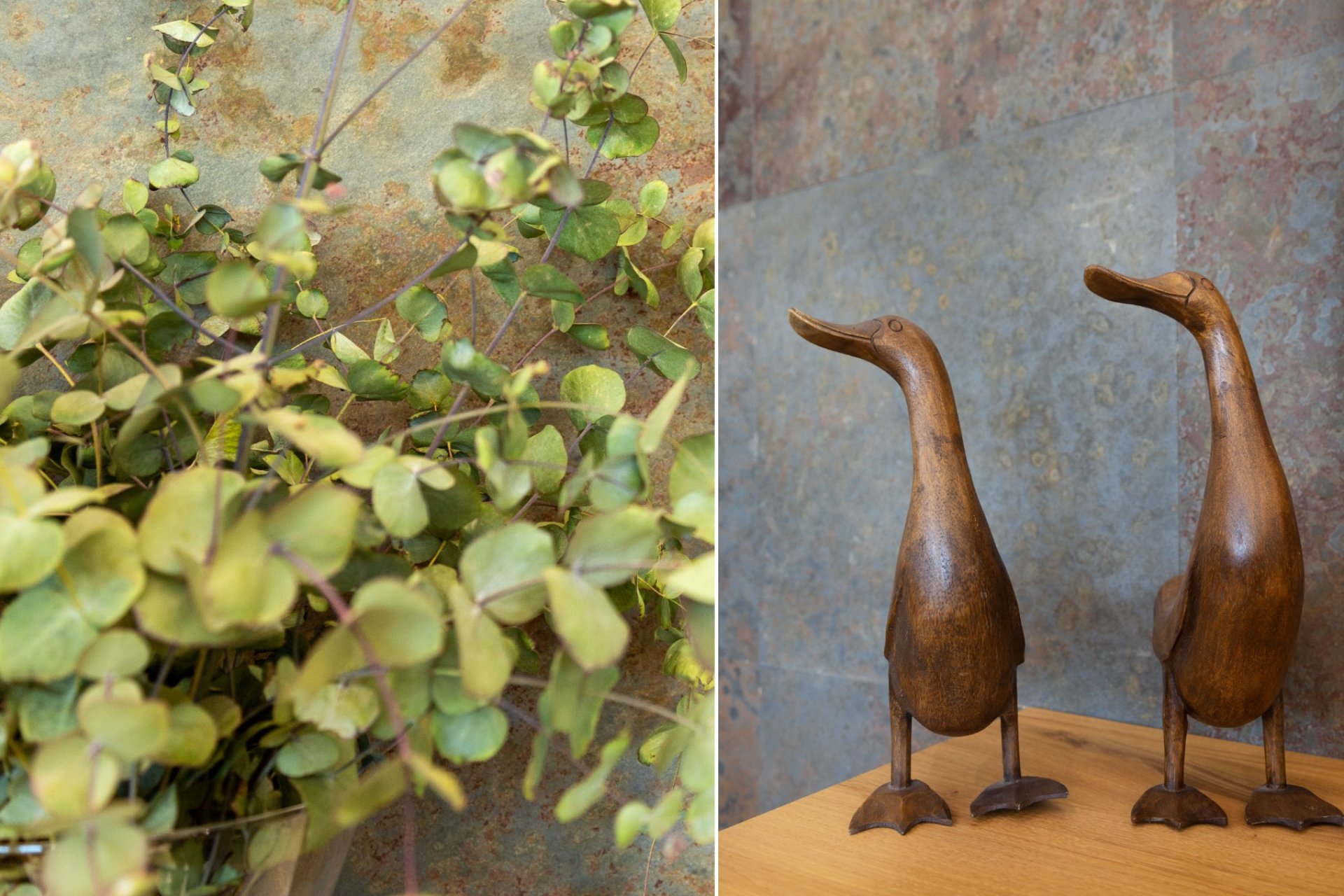 Prodej - Villa - San Vicente del Raspeig - Los Girasoles