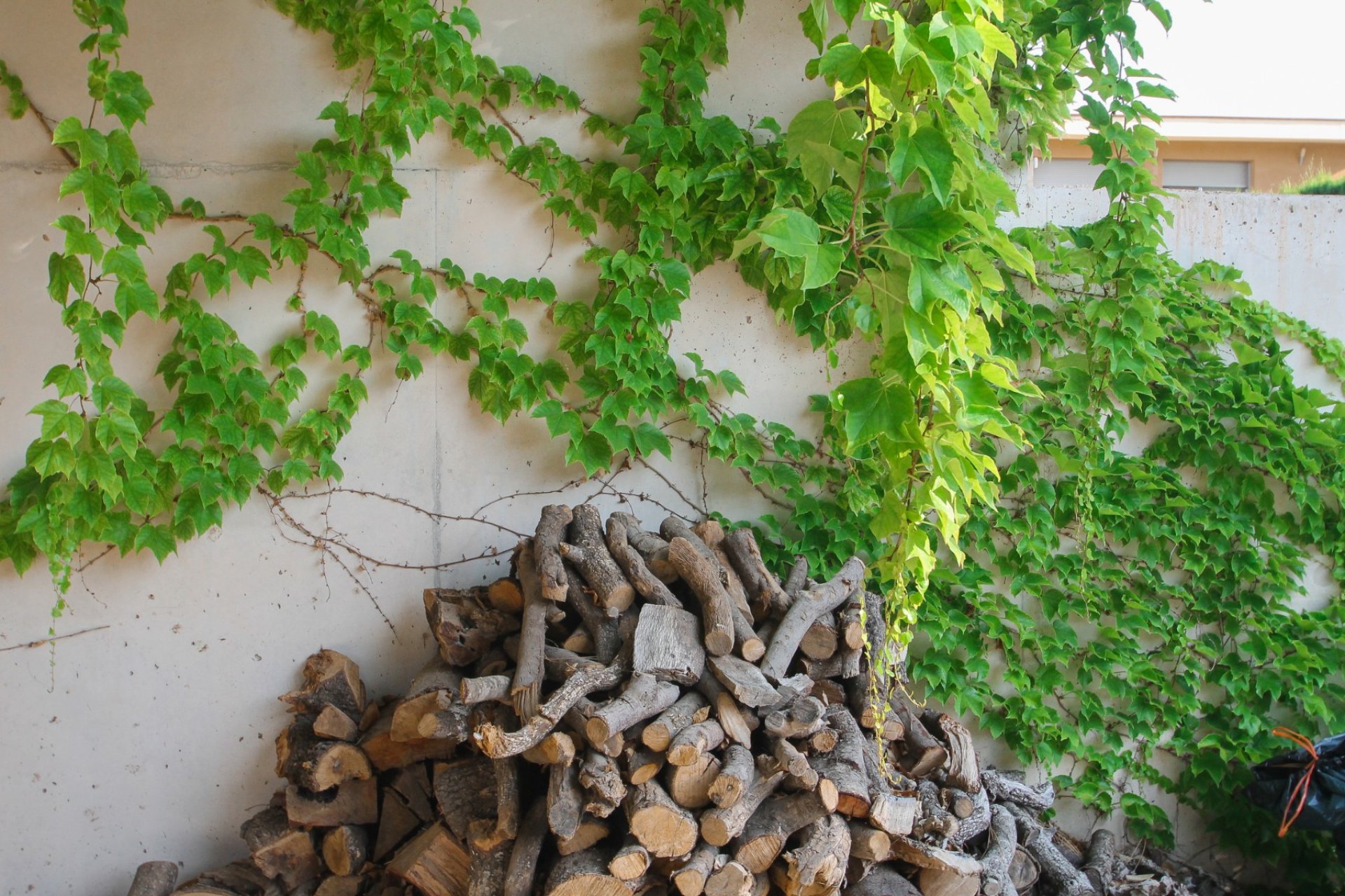 Prodej - Villa - San Vicente del Raspeig