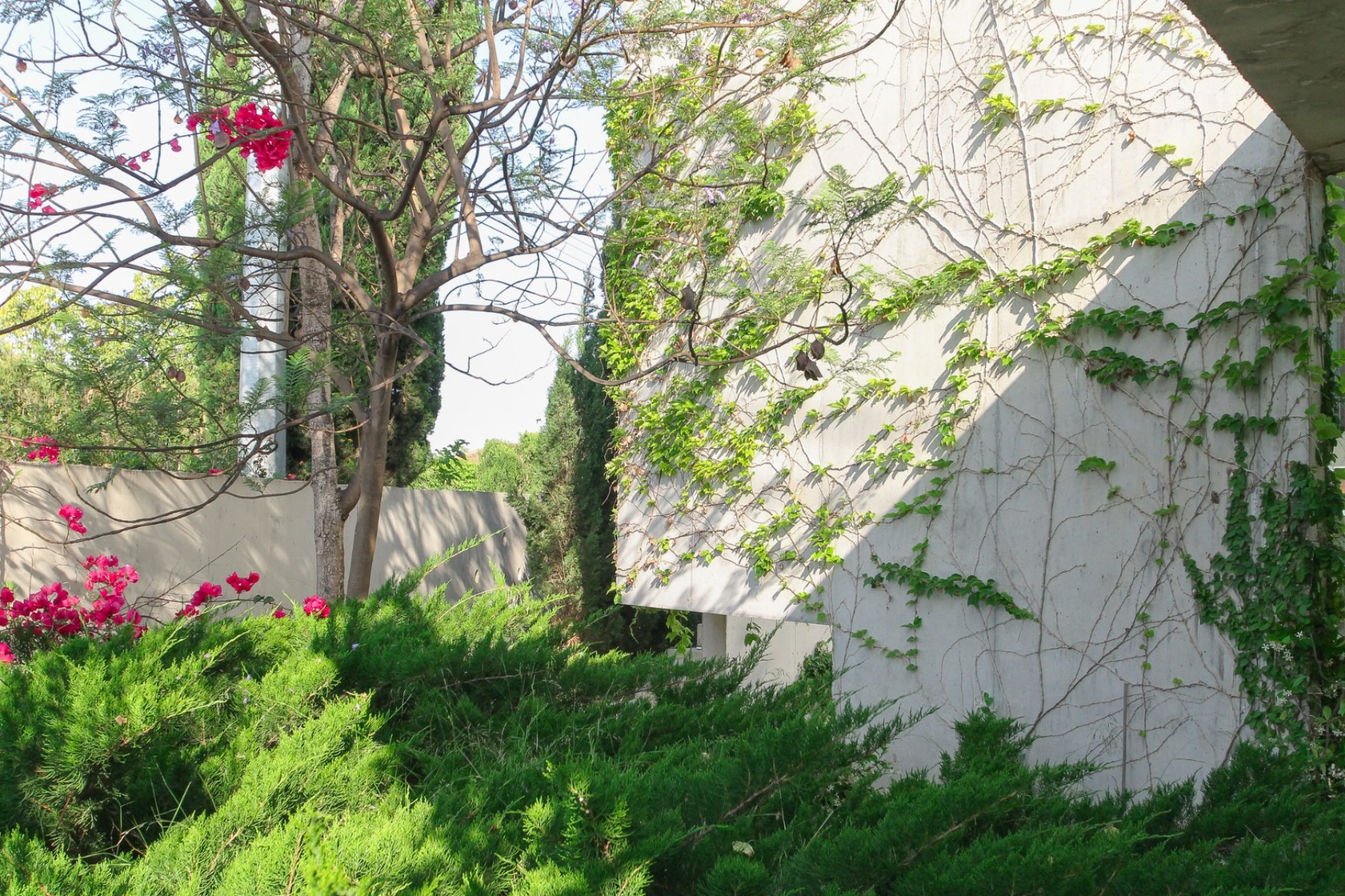 Prodej - Villa - San Vicente del Raspeig