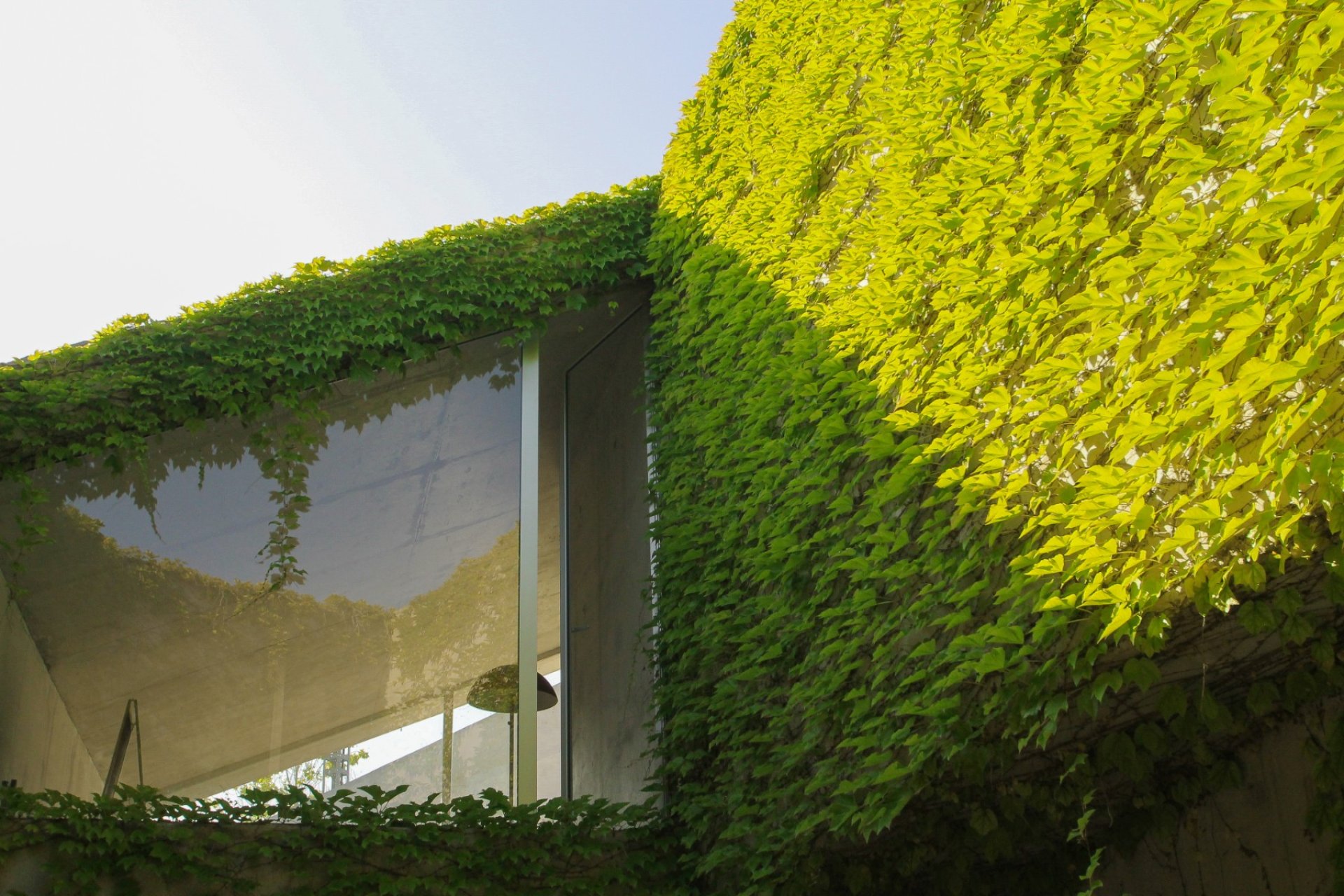 Prodej - Villa - San Vicente del Raspeig