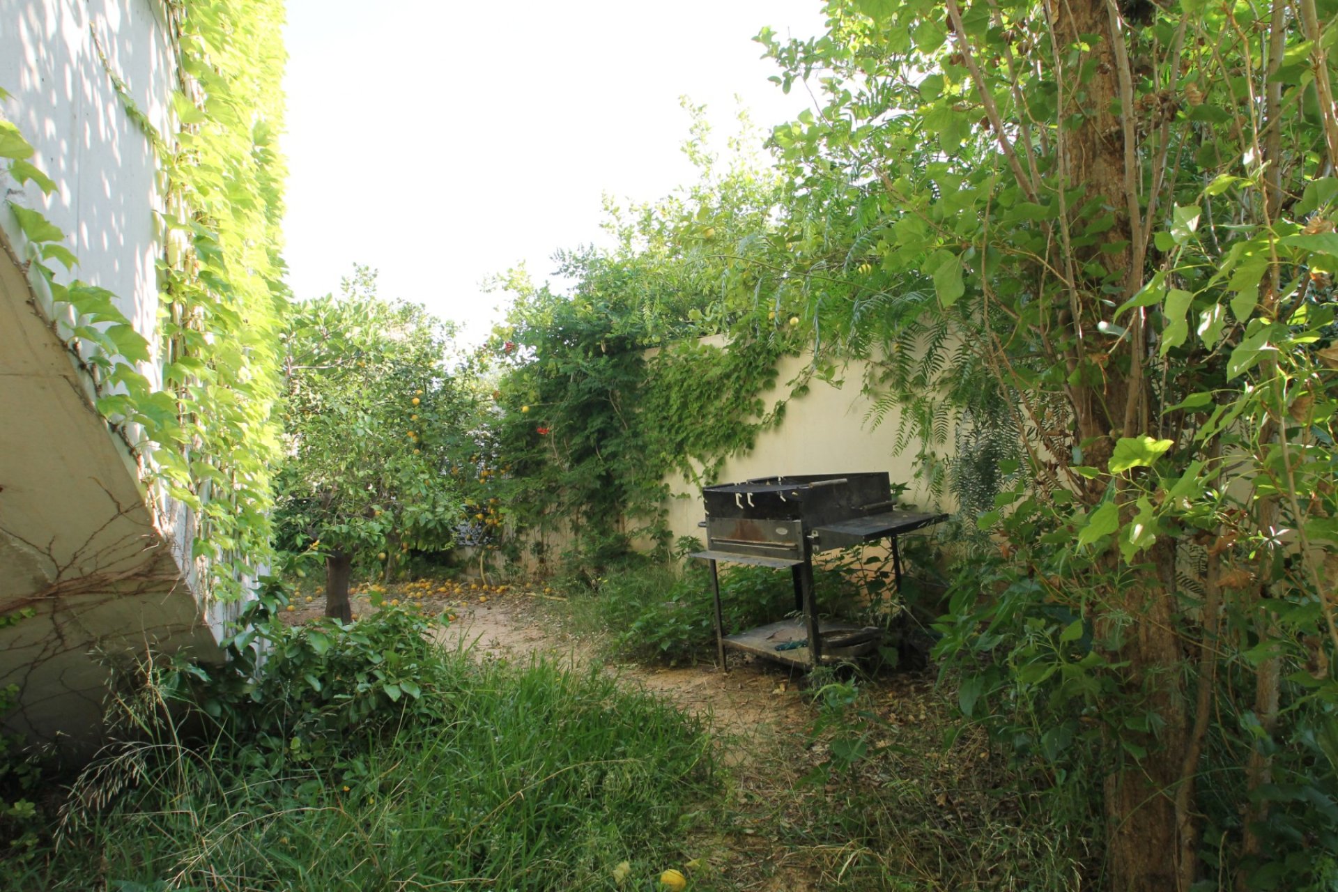 Prodej - Villa - San Vicente del Raspeig