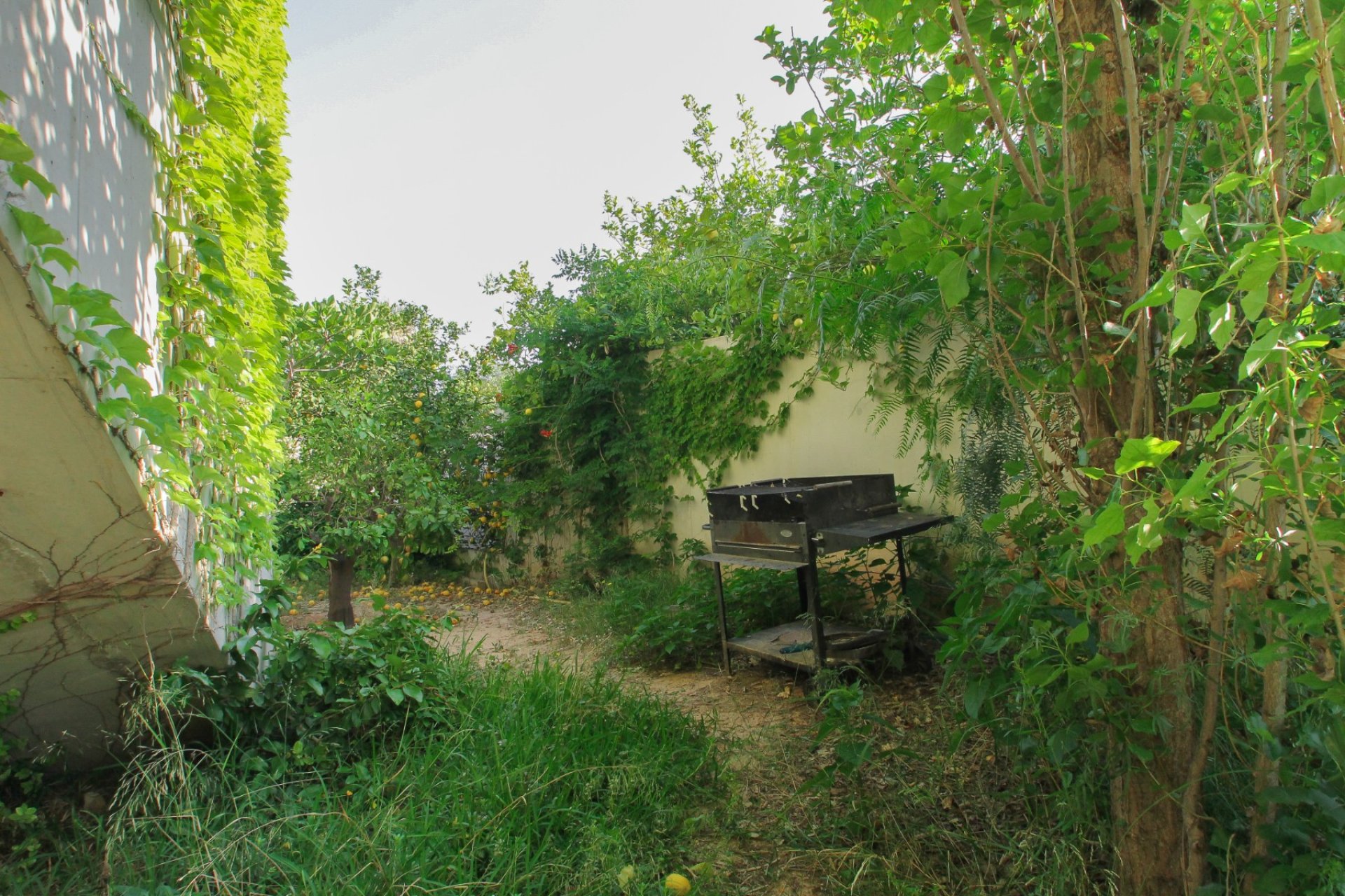 Prodej - Villa - San Vicente del Raspeig