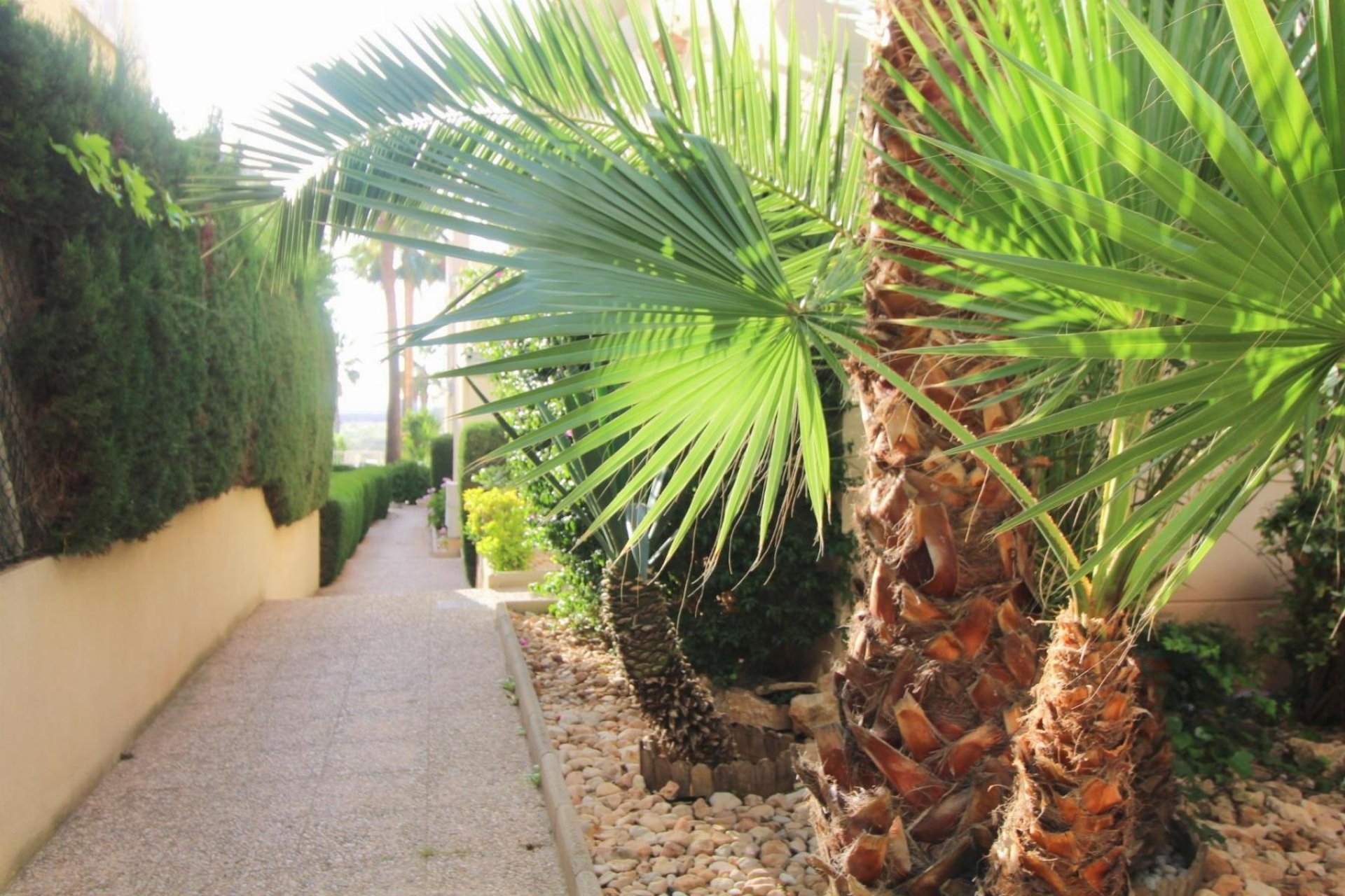 Sale - Apartamento - Torrevieja - La Veleta