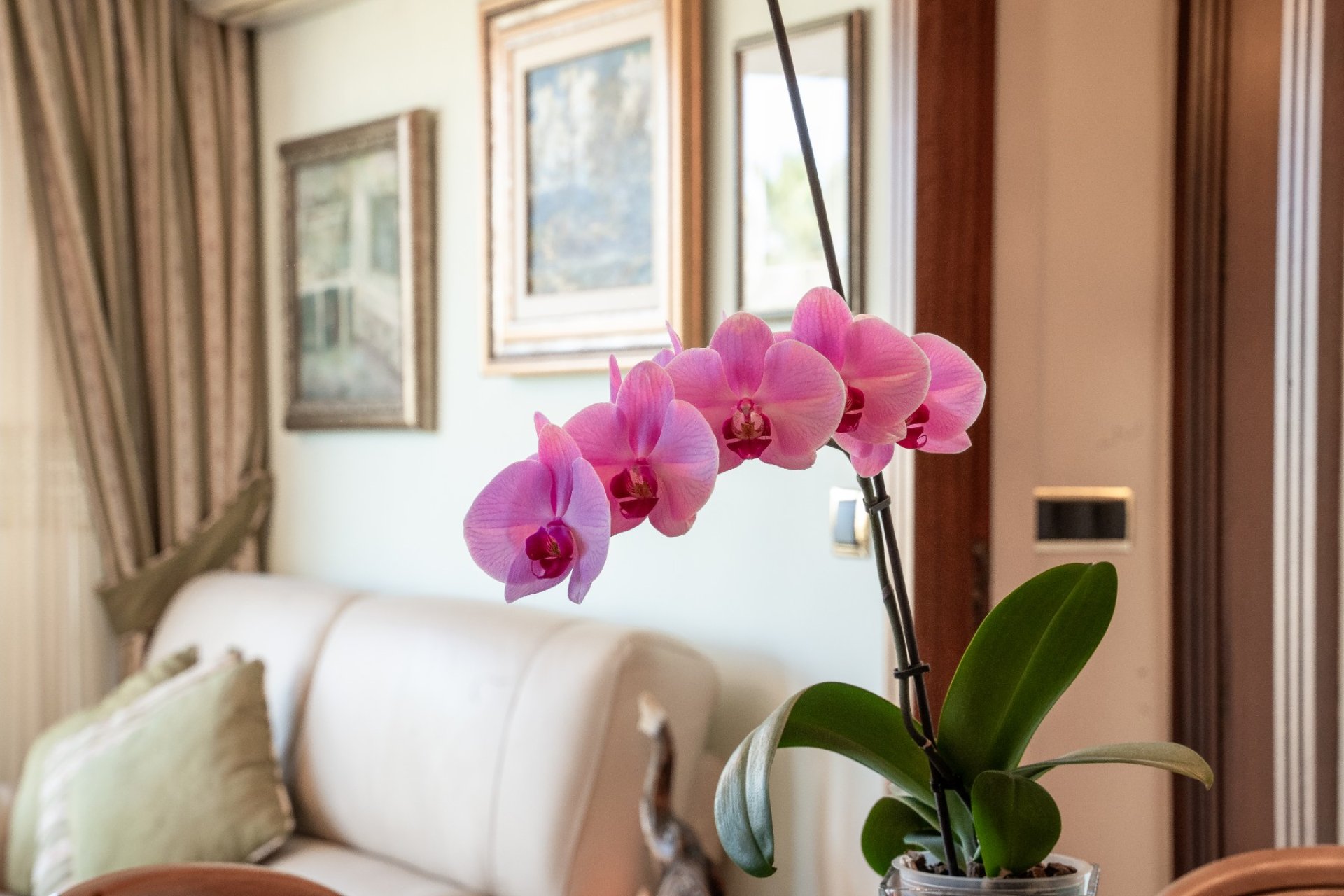 Sale - Apartment - Alicante - Center