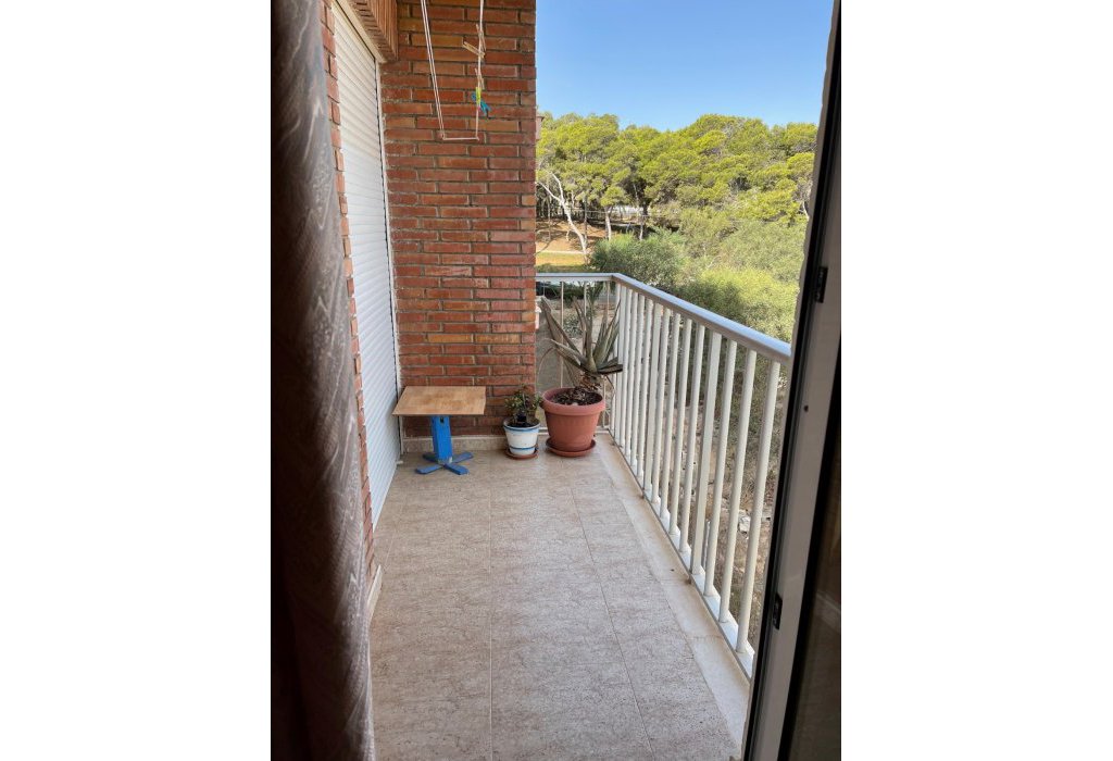 Sale - Apartment - Guardamar del Segura