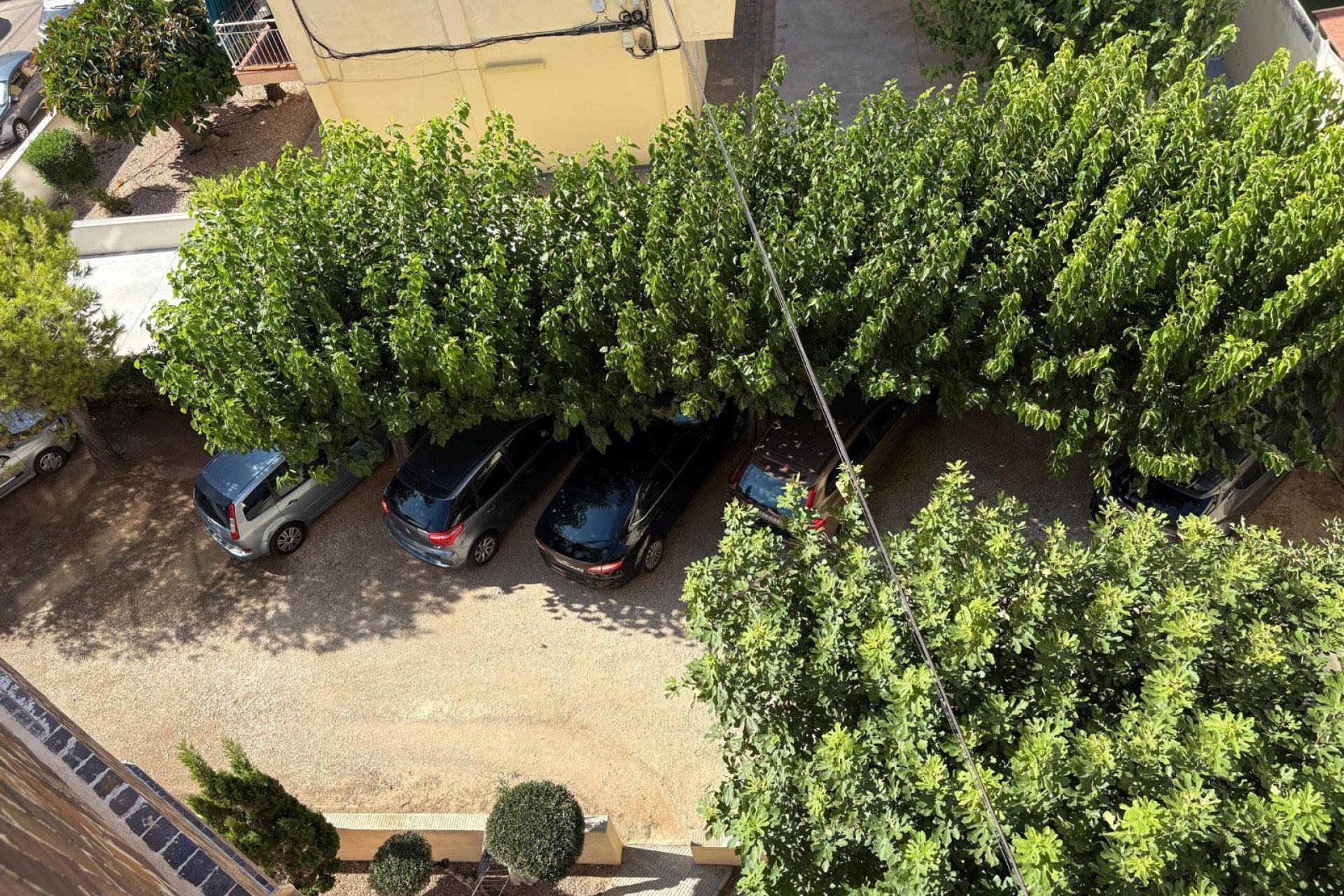Sale - Apartment - Torrevieja - LA MATA