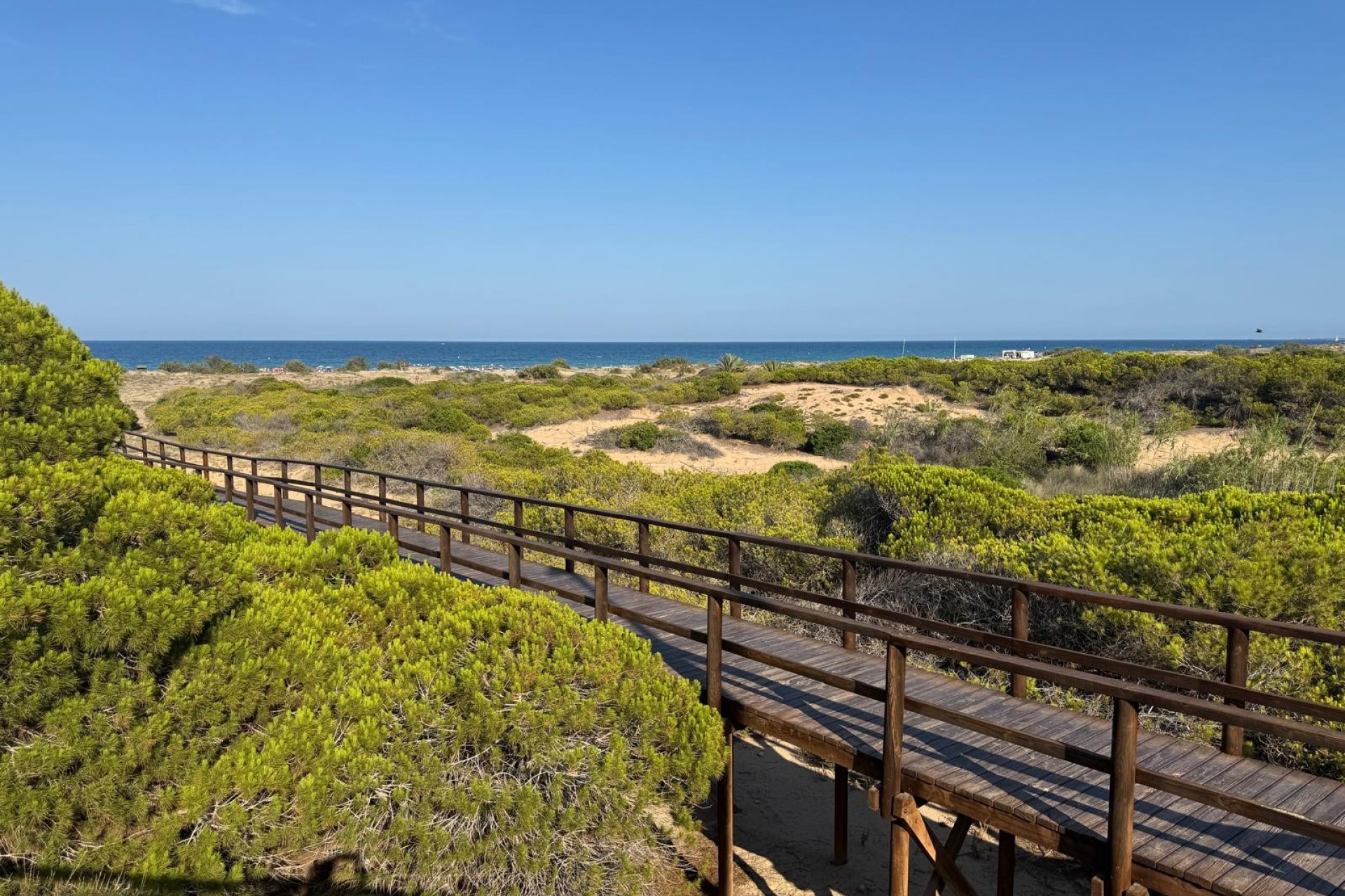 Sale - Appartement - Arenales del Sol - Arenales