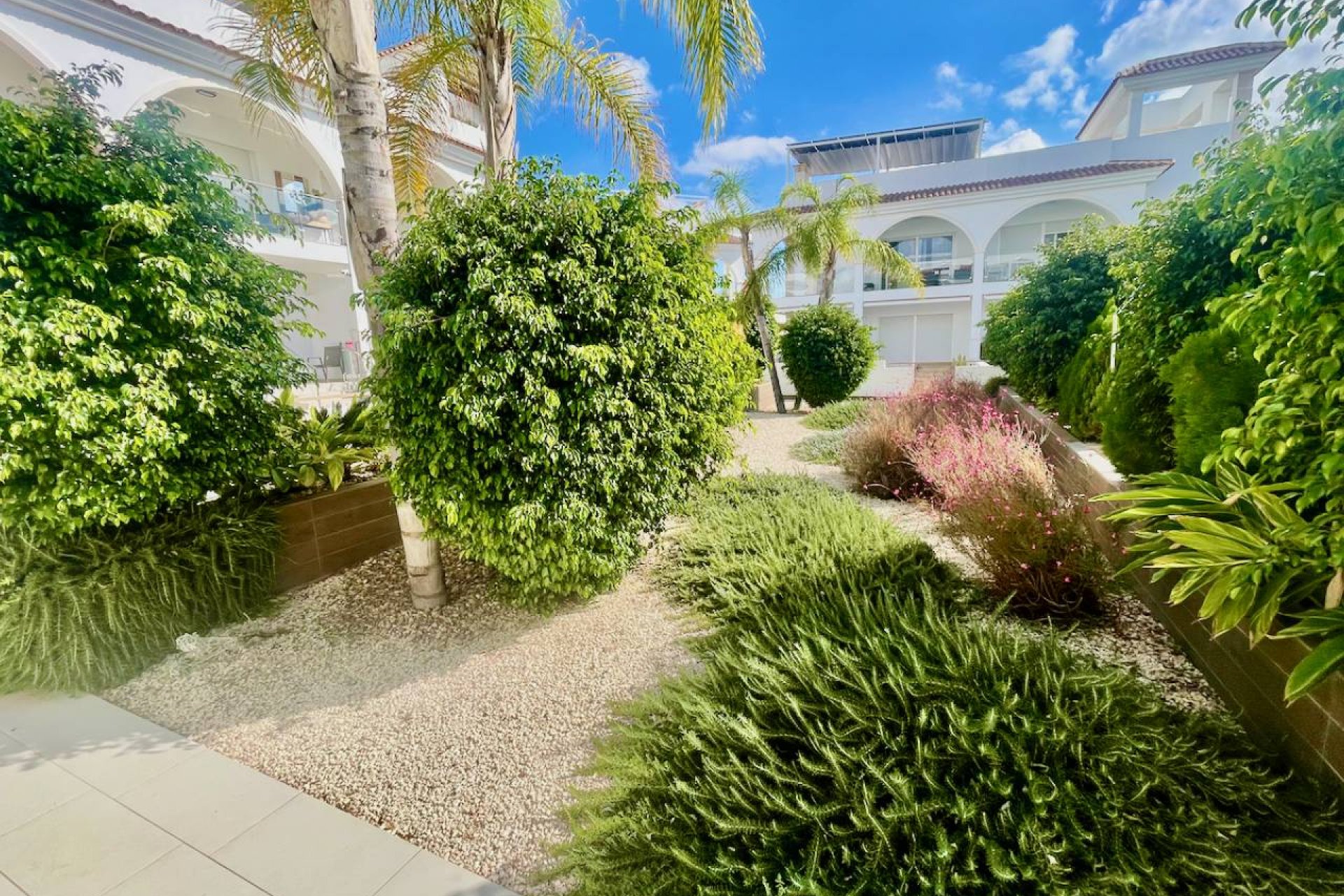 Sale - Appartement - Ciudad Quesada