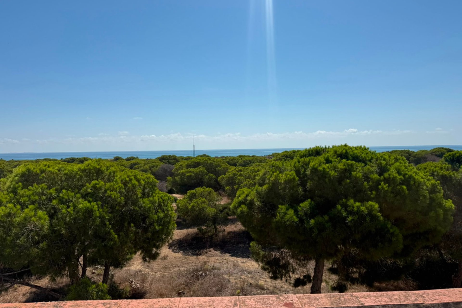 Sale - Atico - Guardamar del Segura
