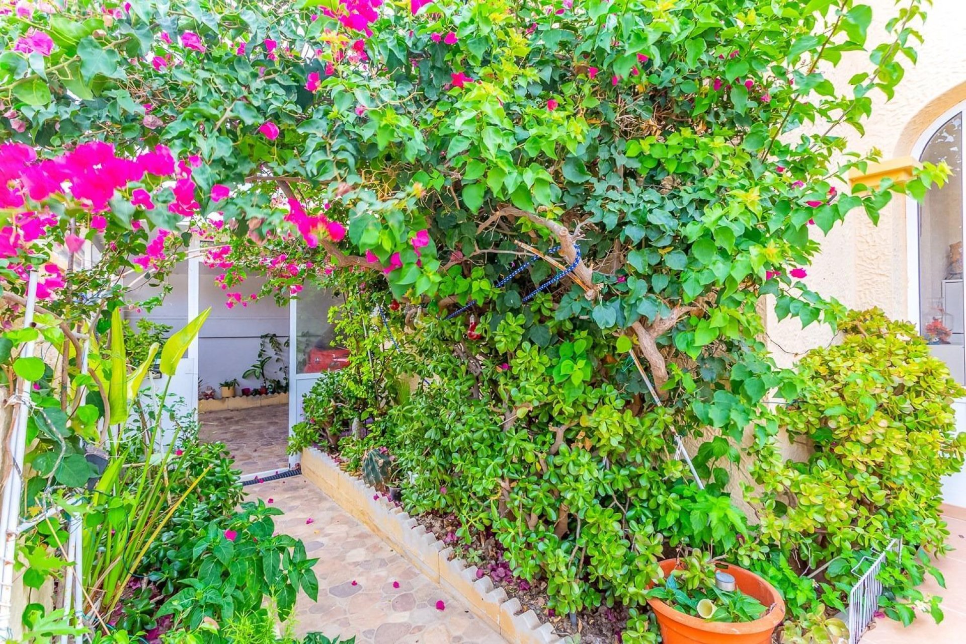 Sale - Chalet - Orihuela Costa - La Zenia- Orihuela costa