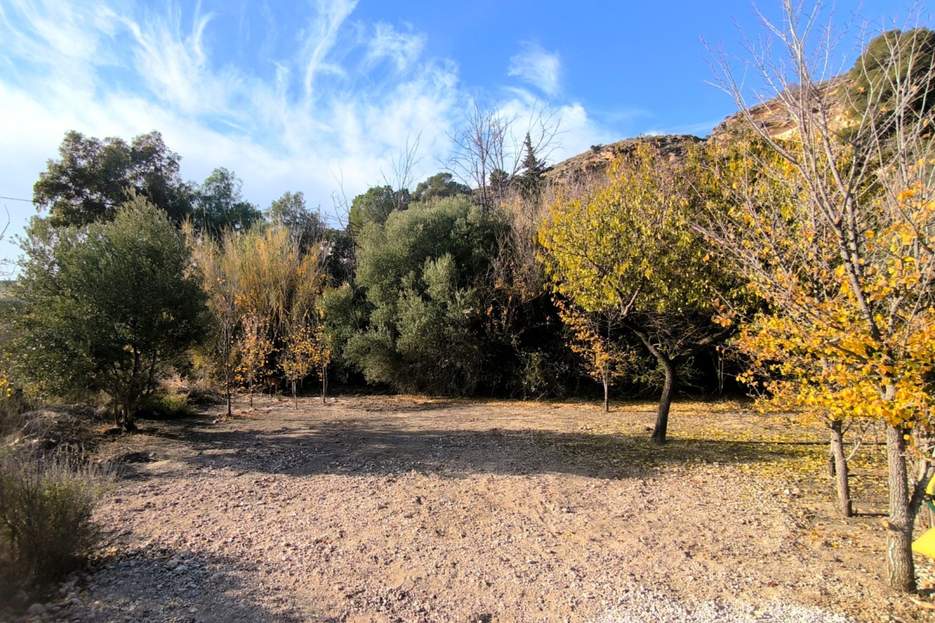 Sale - Country House - Fortuna