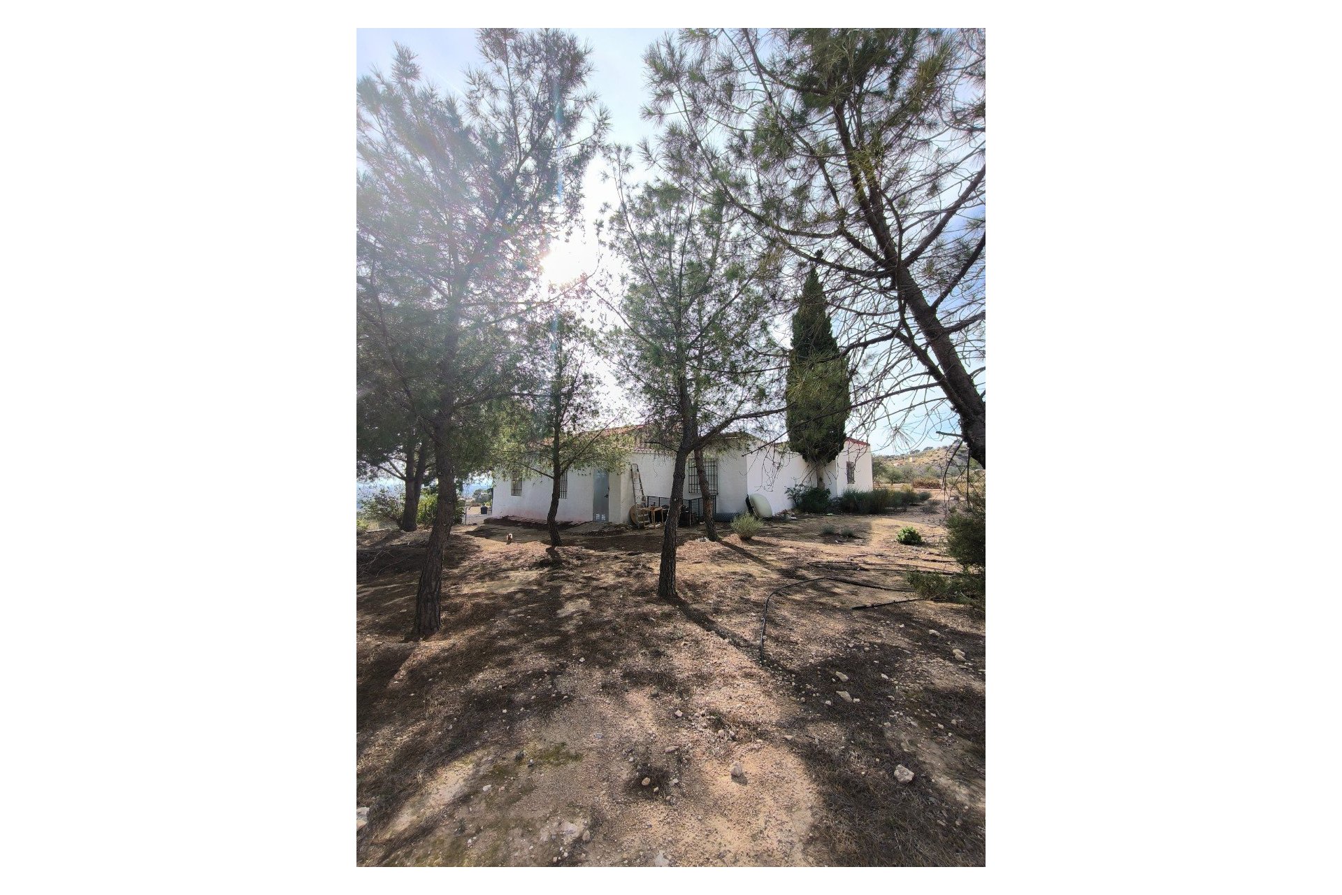 Sale - Country House - Fortuna