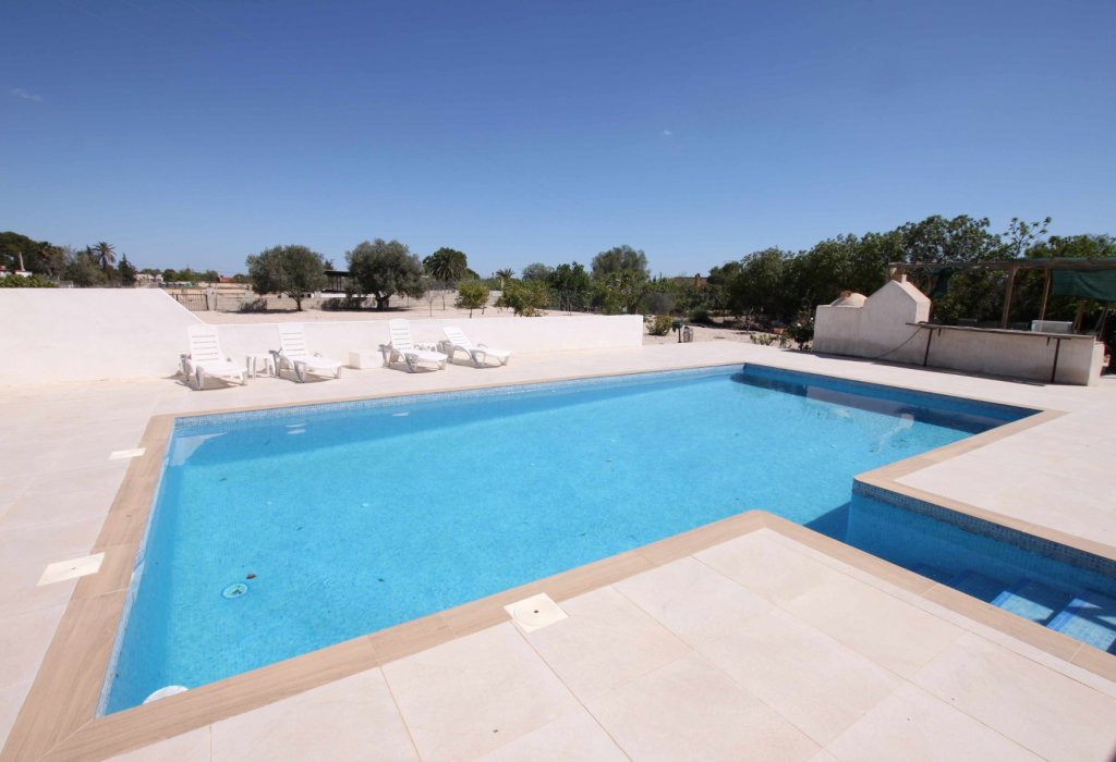 Sale - Finca - Crevillente
