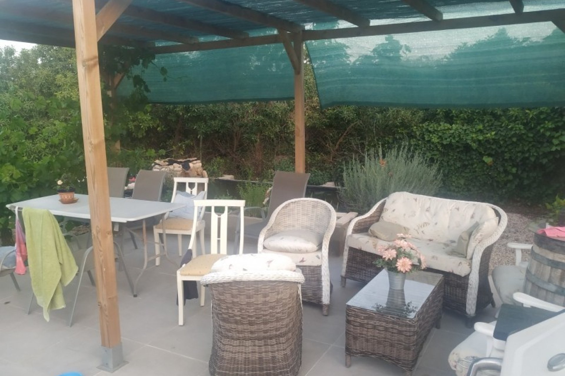 Sale - Finca - Crevillente