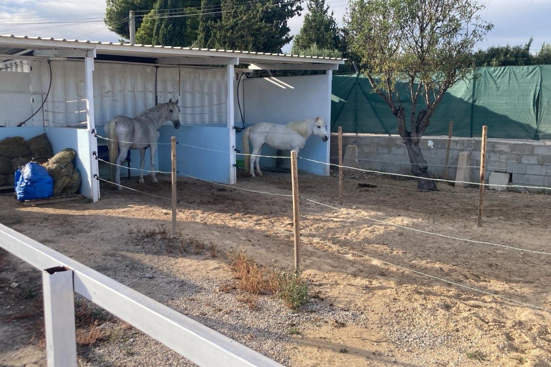 Sale - Finca - Crevillente