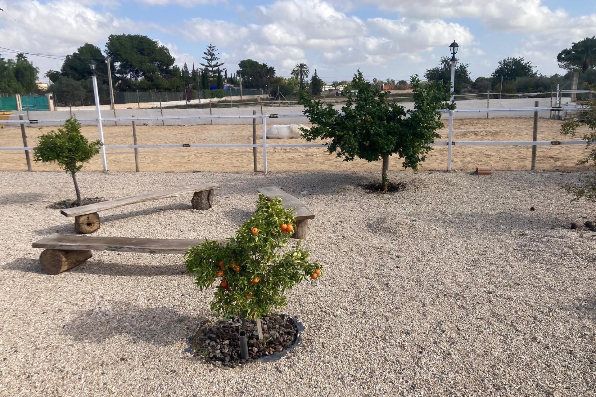 Sale - Finca - Crevillente