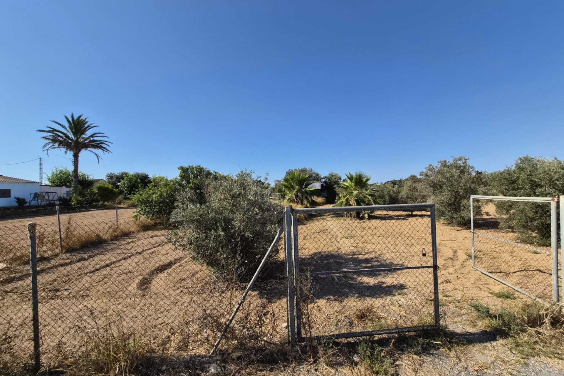Sale - Finca - Guardamar del Segura