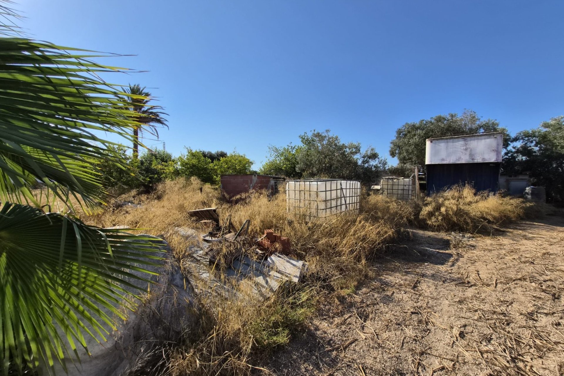 Sale - Finca - Guardamar del Segura