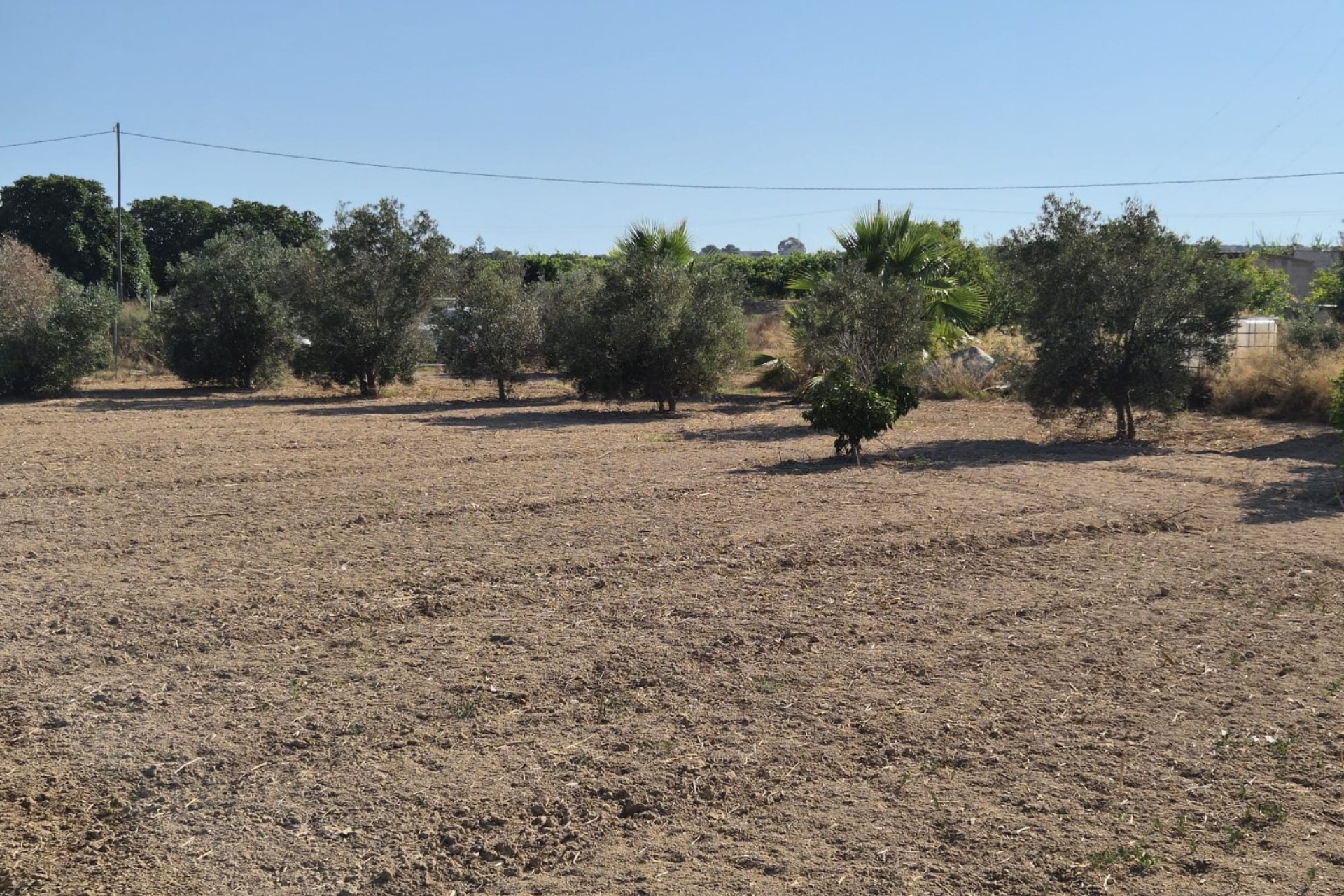 Sale - Finca - Guardamar del Segura