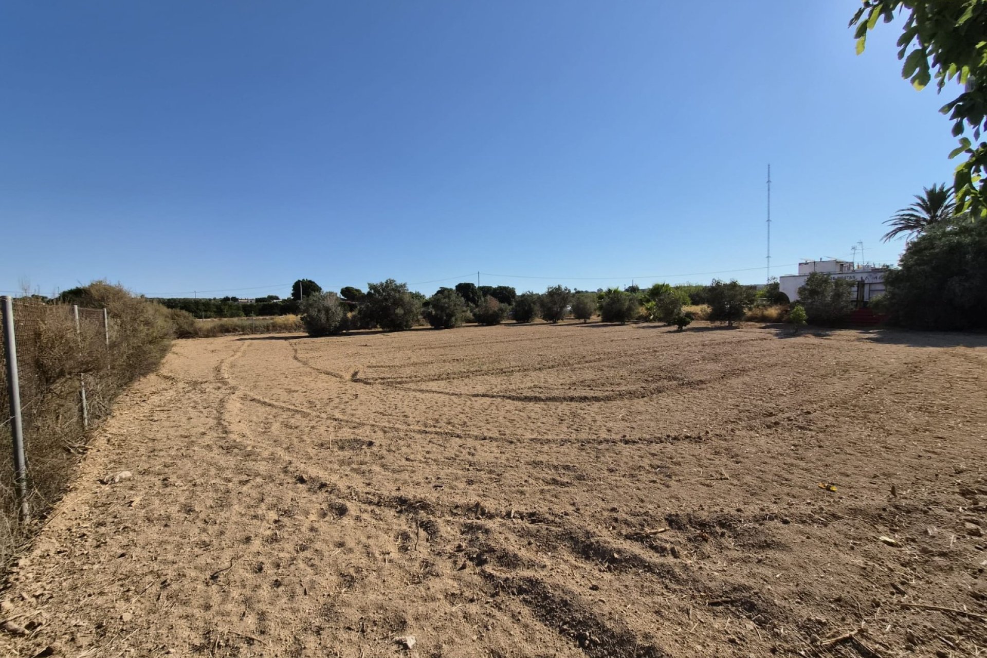 Sale - Finca - Guardamar del Segura