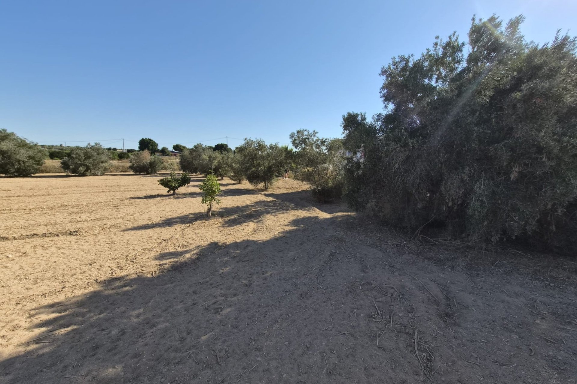 Sale - Finca - Guardamar del Segura