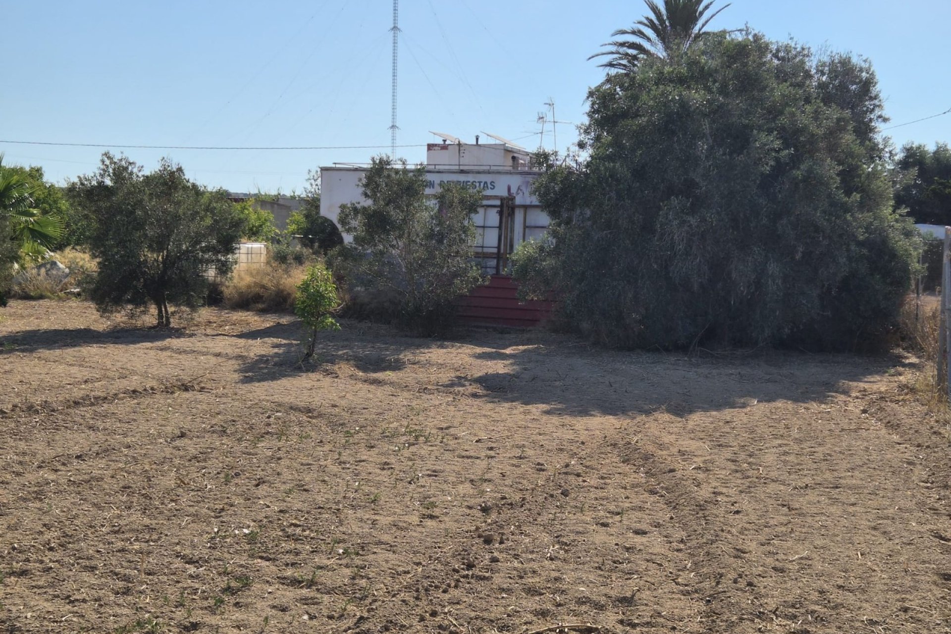 Sale - Finca - Guardamar del Segura