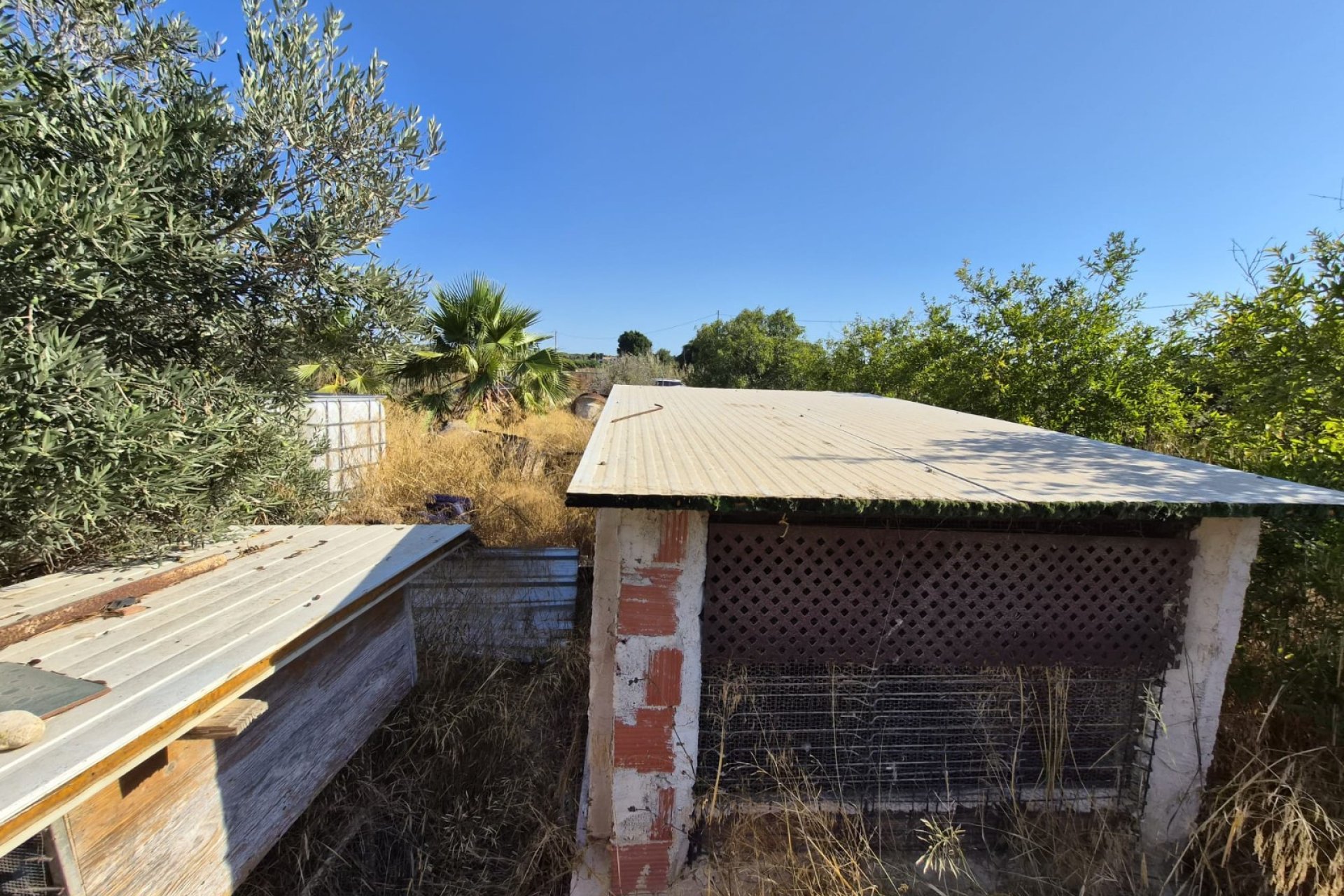 Sale - Finca - Guardamar del Segura