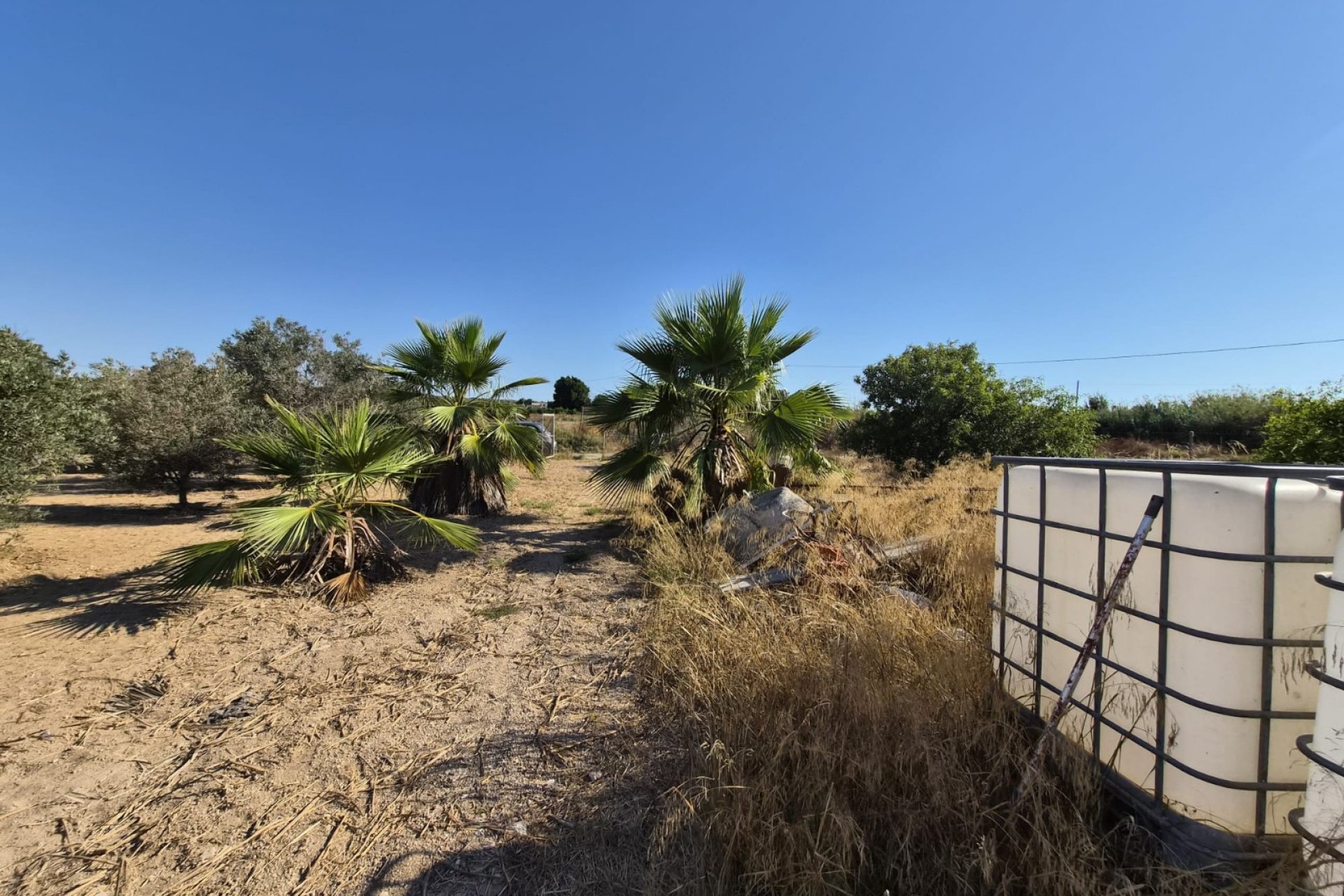 Sale - Finca - Guardamar del Segura