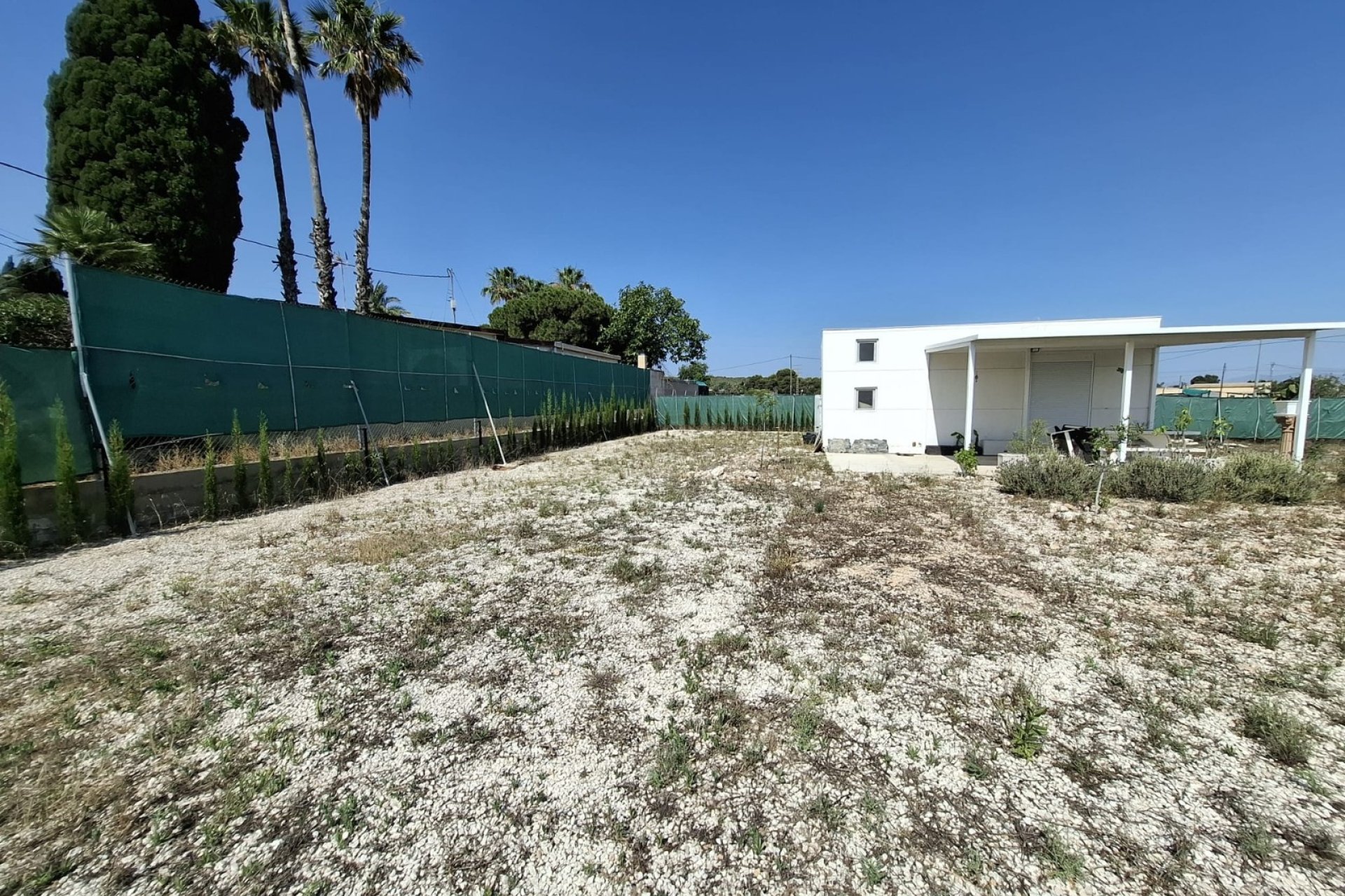 Sale - Handlung - Elche - La Marina