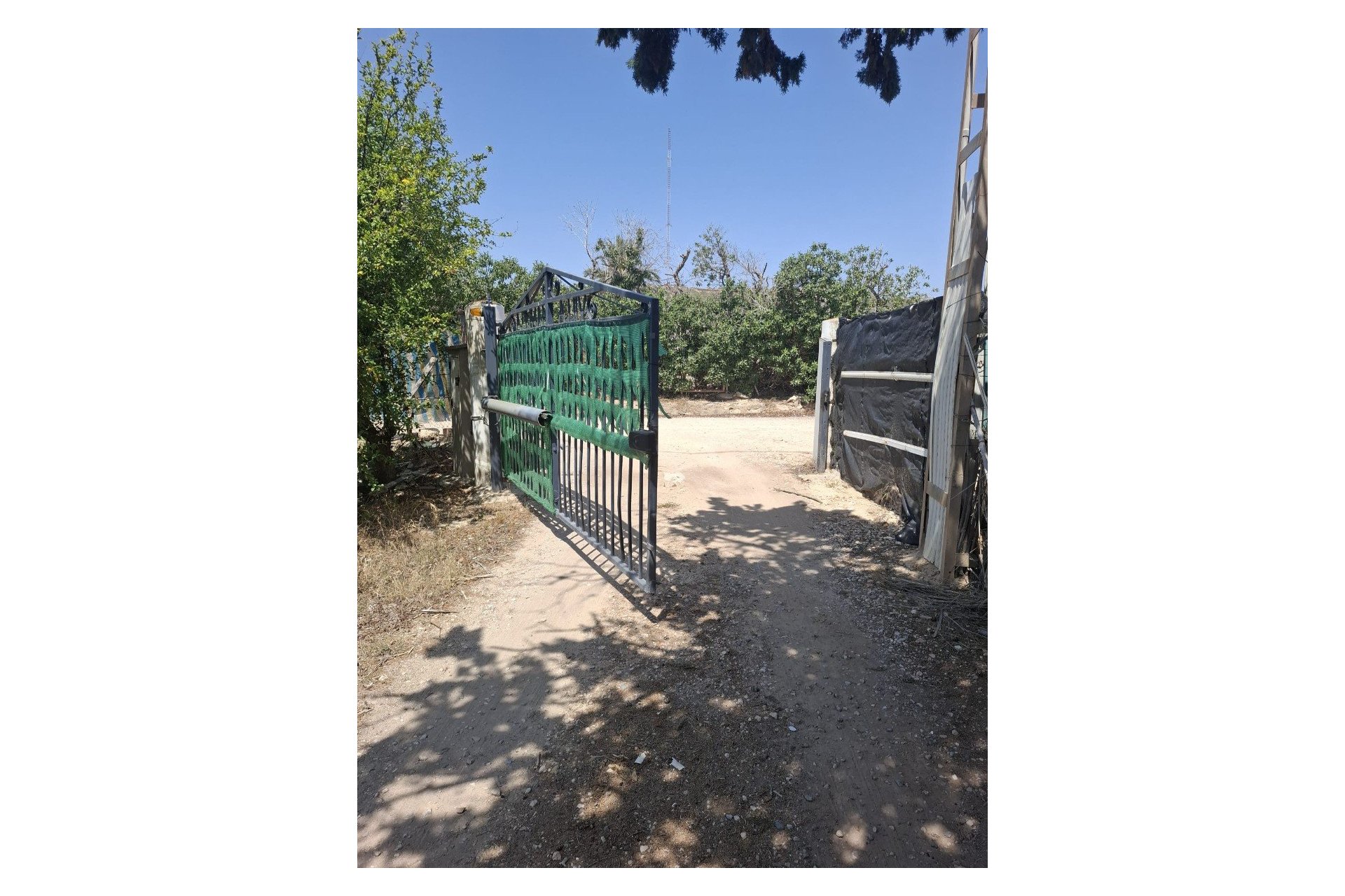 Sale - Handlung - Elche - La Marina