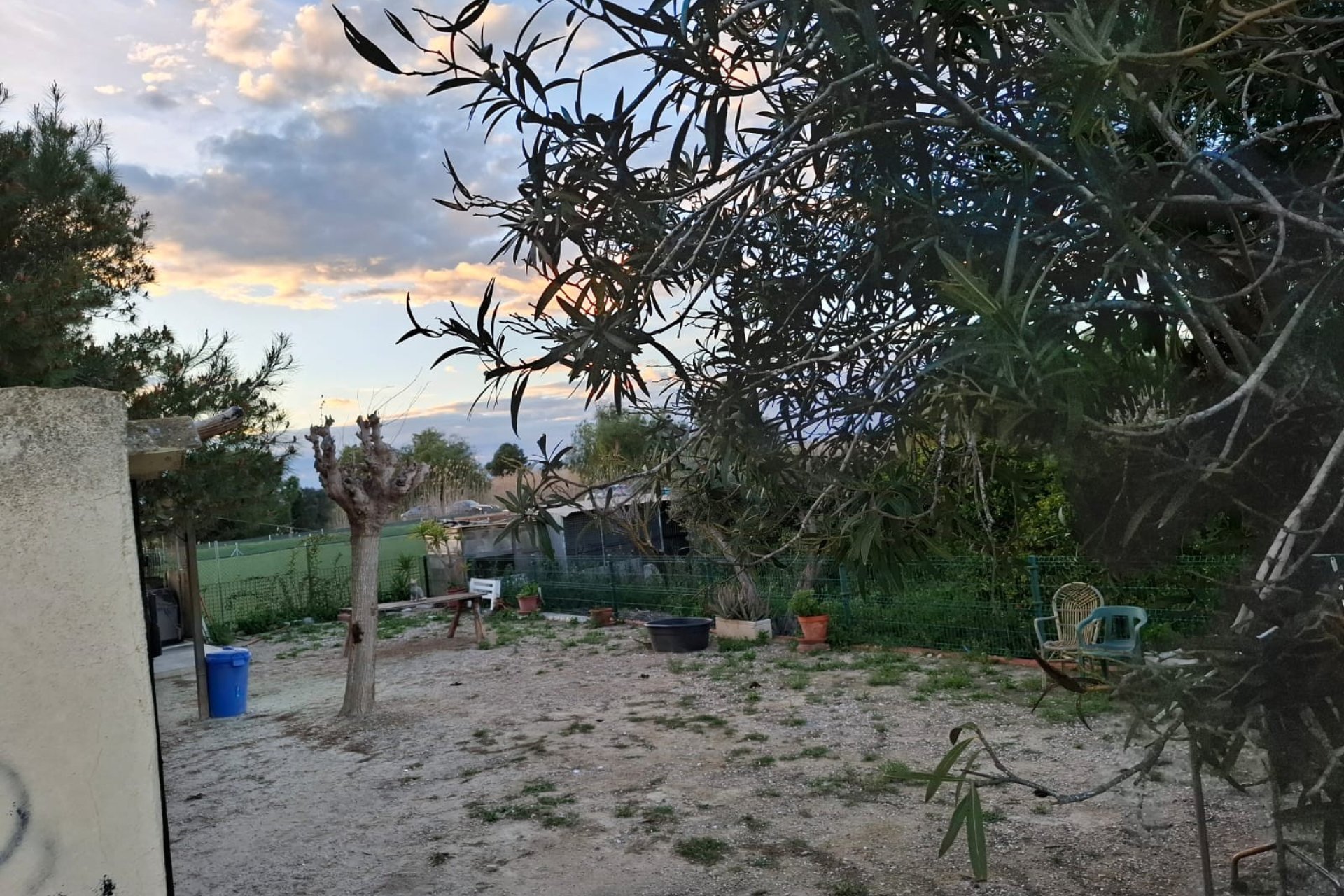 Sale - Handlung - Guardamar del Segura - Guardamar Playa