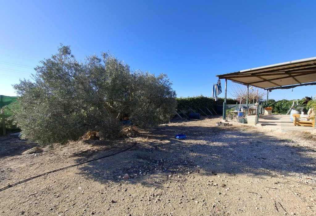 Sale - Handlung - Guardamar del Segura - Guardamar pueblo