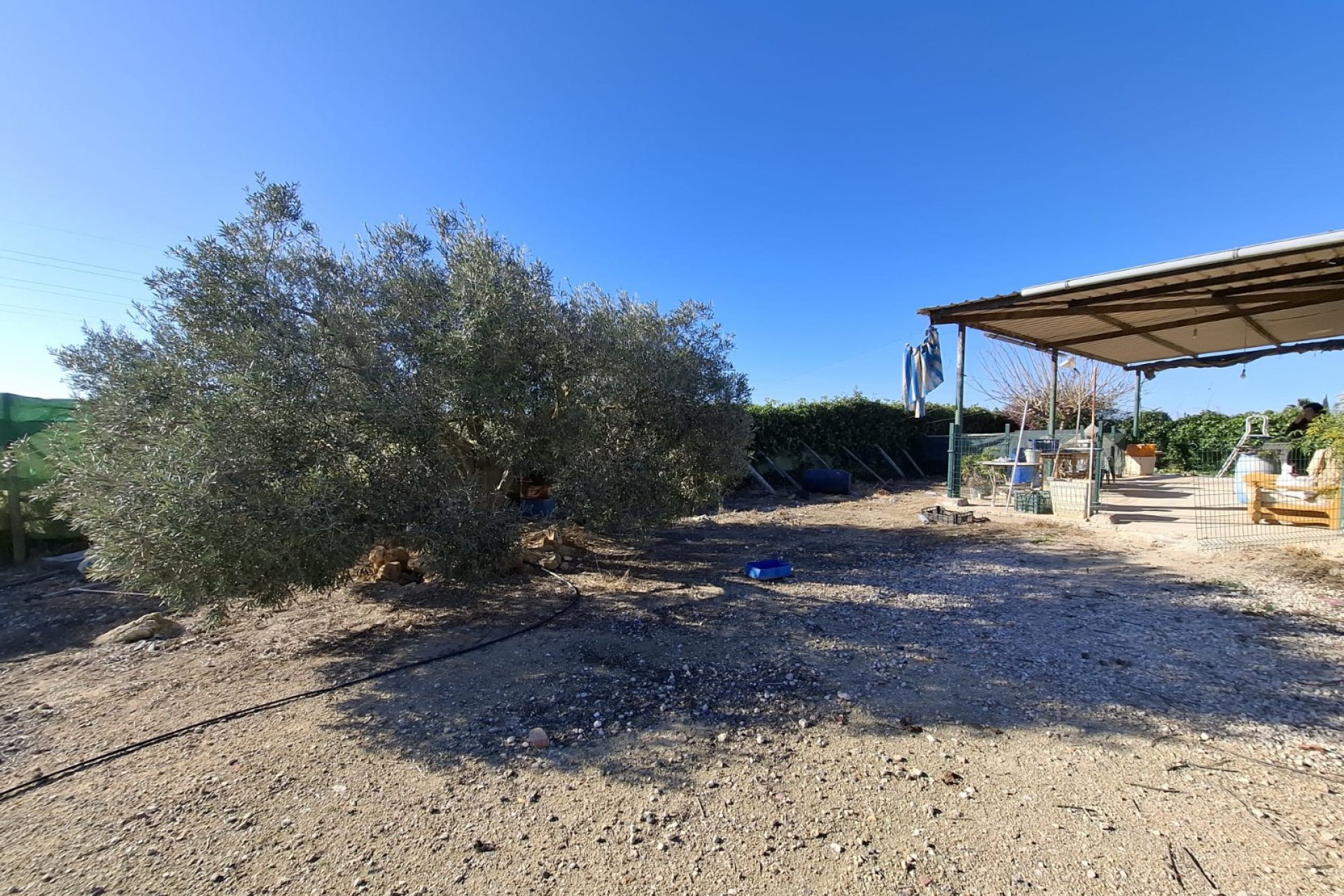 Sale - Handlung - Guardamar del Segura - Guardamar pueblo