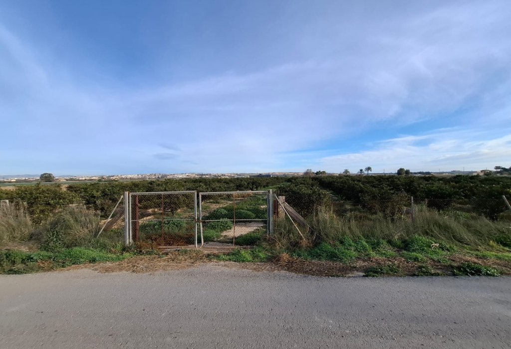 Sale - Handlung - Guardamar del Segura - Urbanizaciones