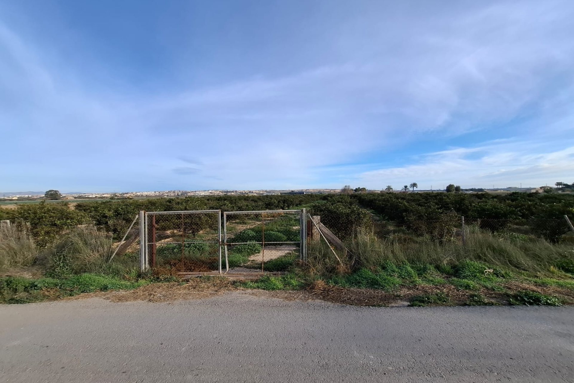 Sale - Handlung - Guardamar del Segura - Urbanizaciones