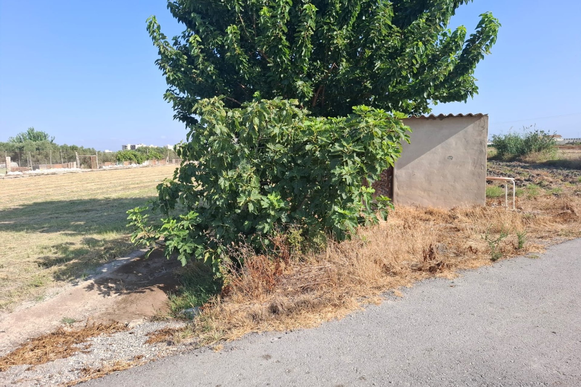 Sale - Handlung - Rojales - Ciudad Quesada