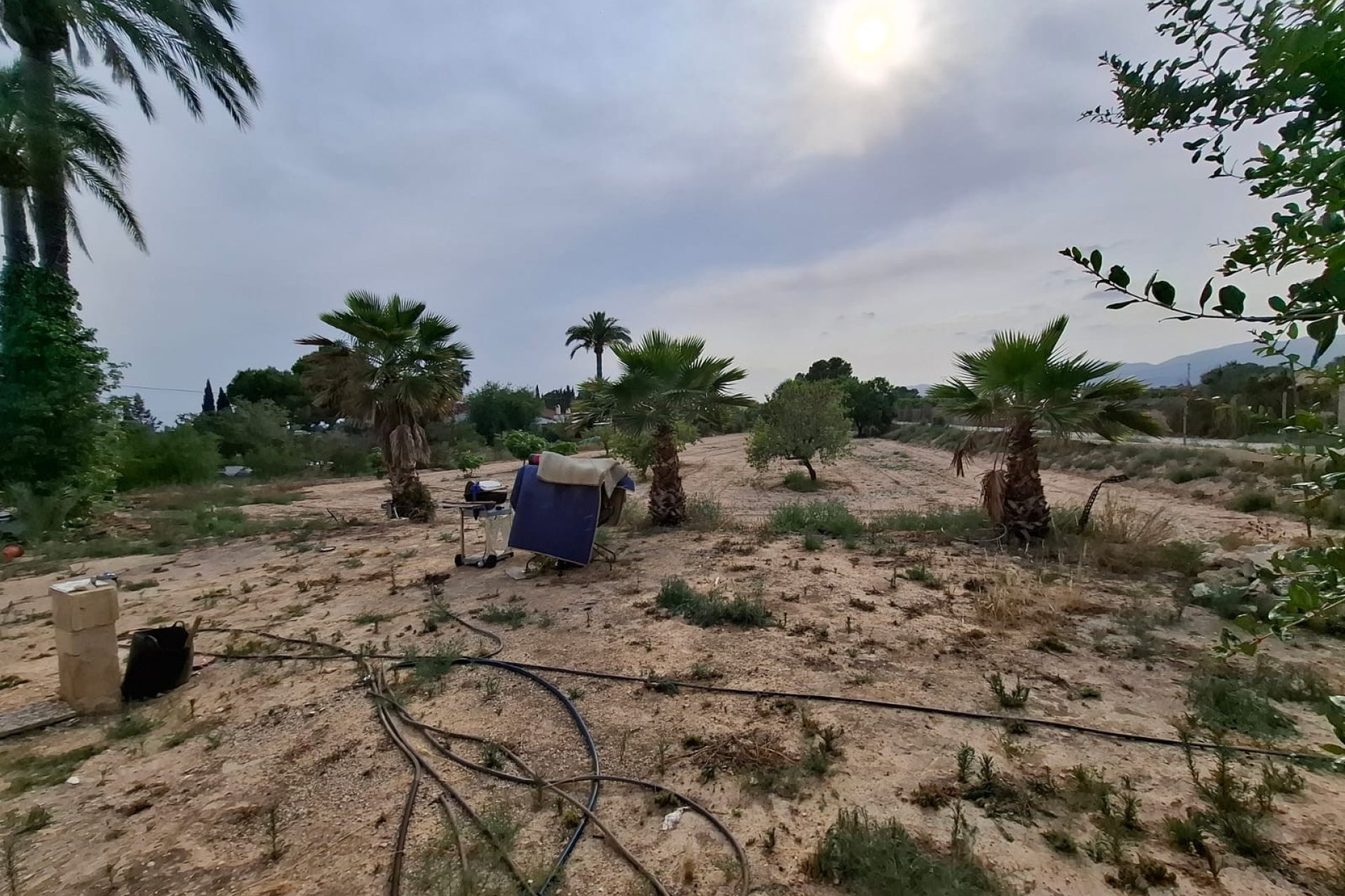 Sale - Herenhuis - Elche - Matola