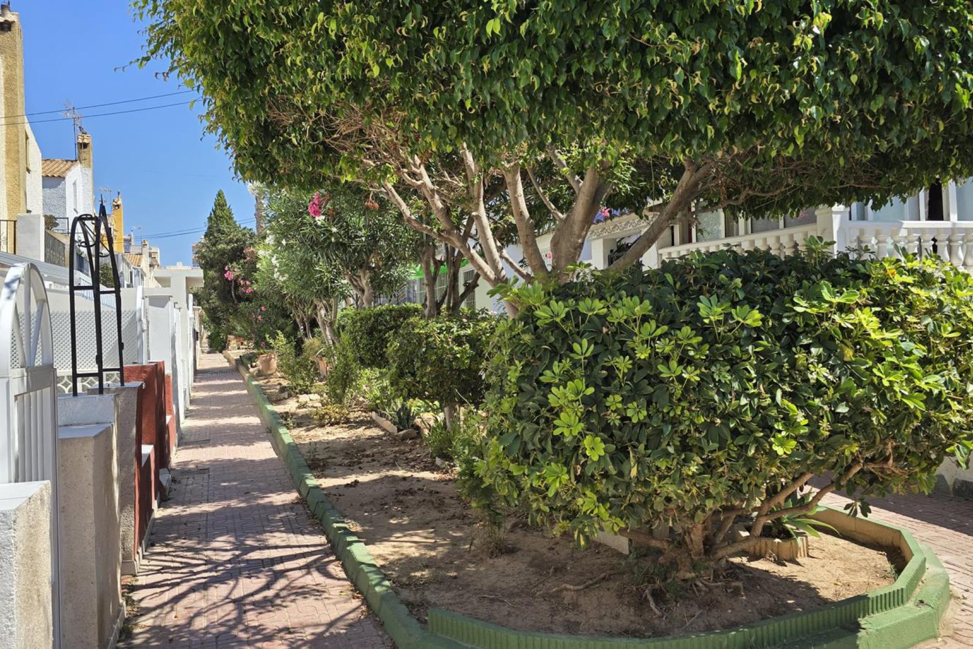 Sale - Maison de ville - Torrevieja - Playa de los Locos